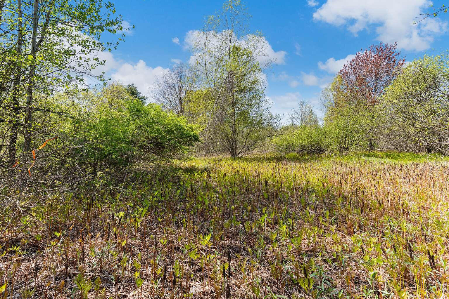 Lot B River Road