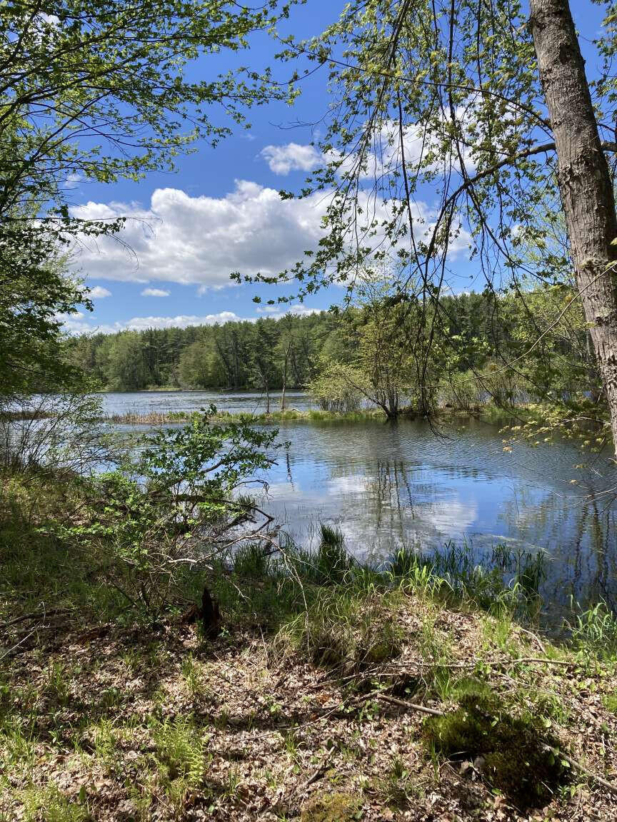 Lot B River Road