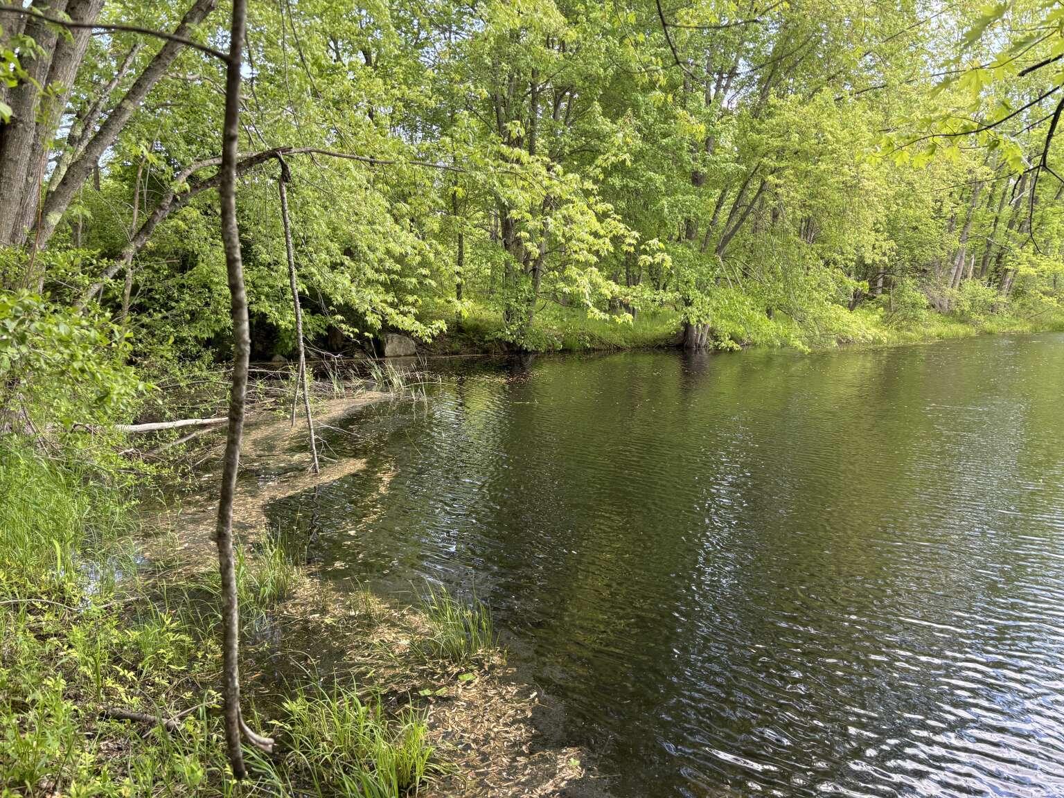 Lot B River Road