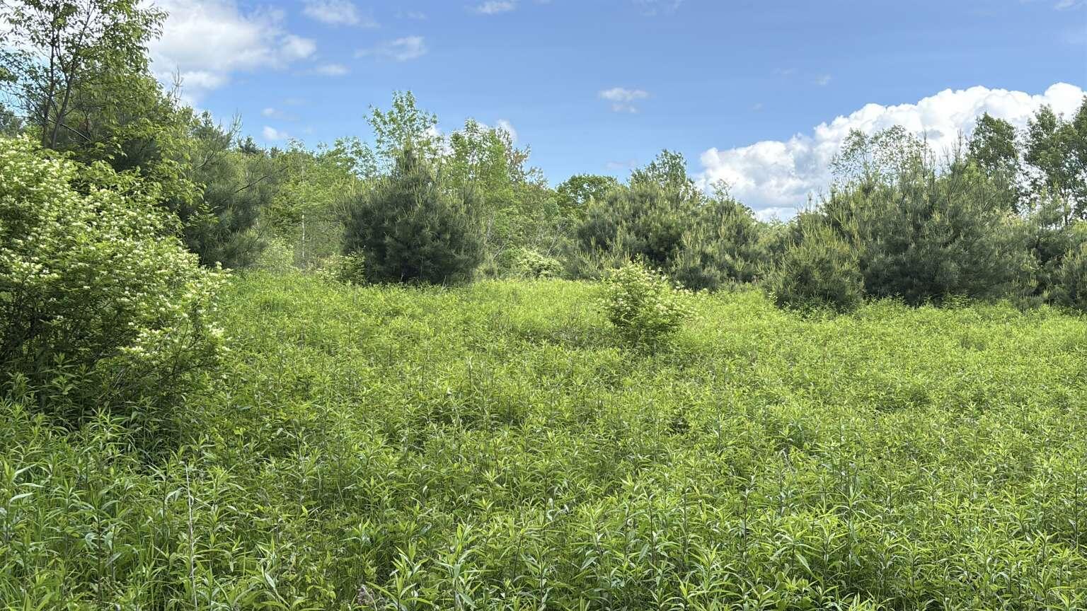 Lot B River Road