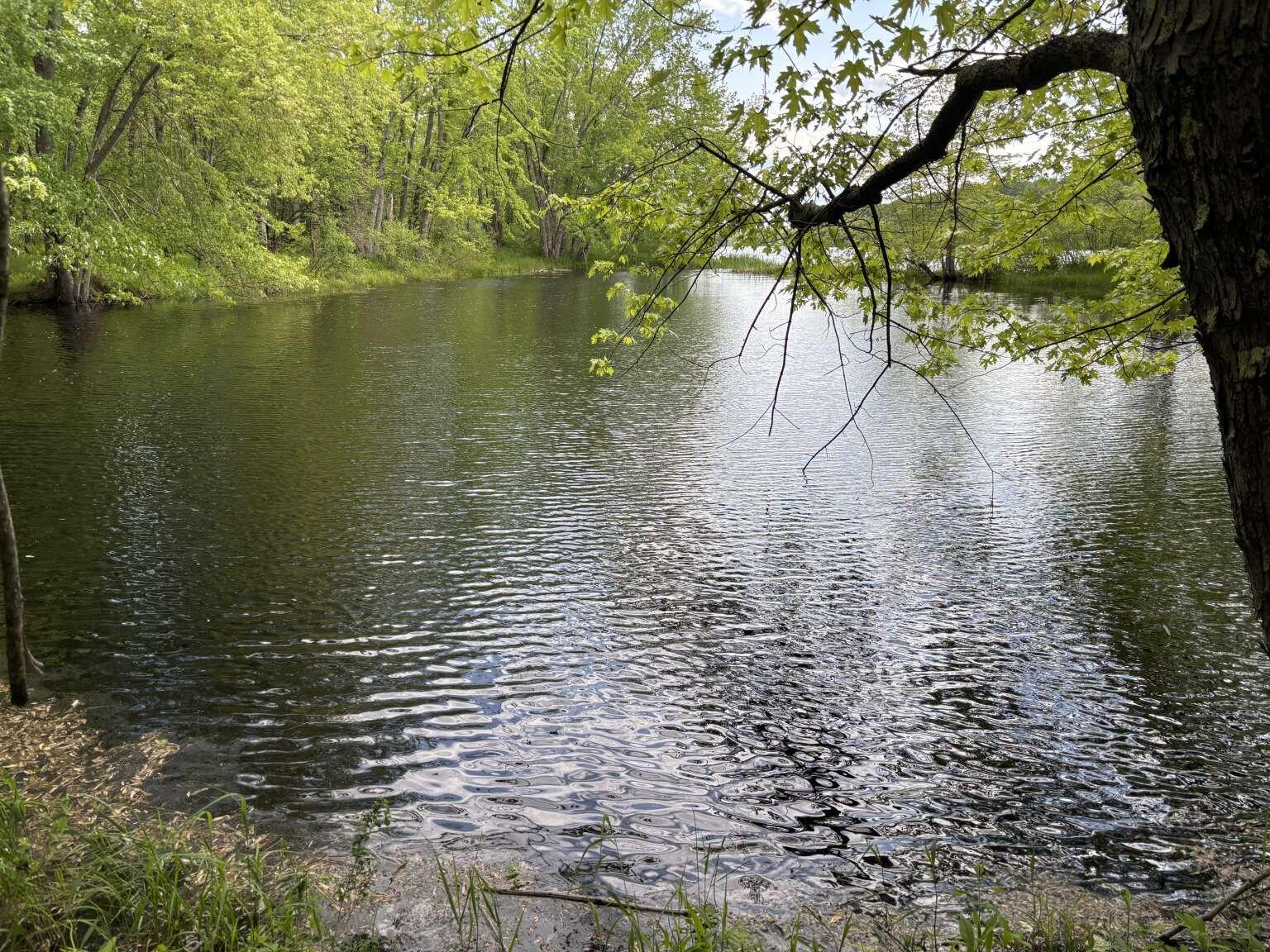 Lot B River Road