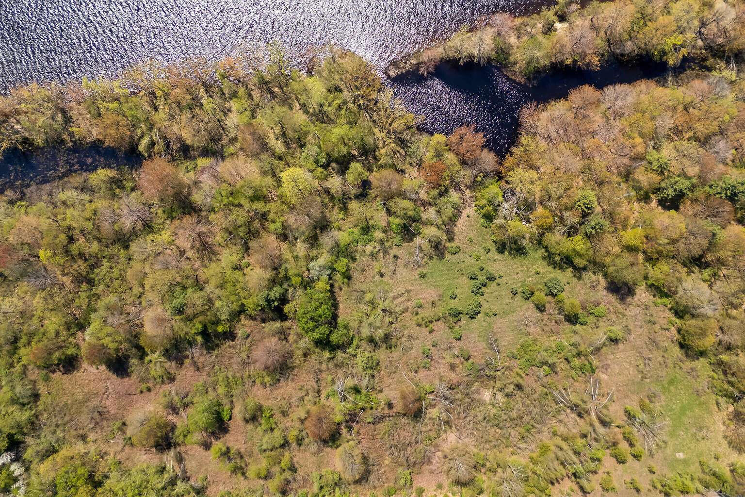 Lot B River Road