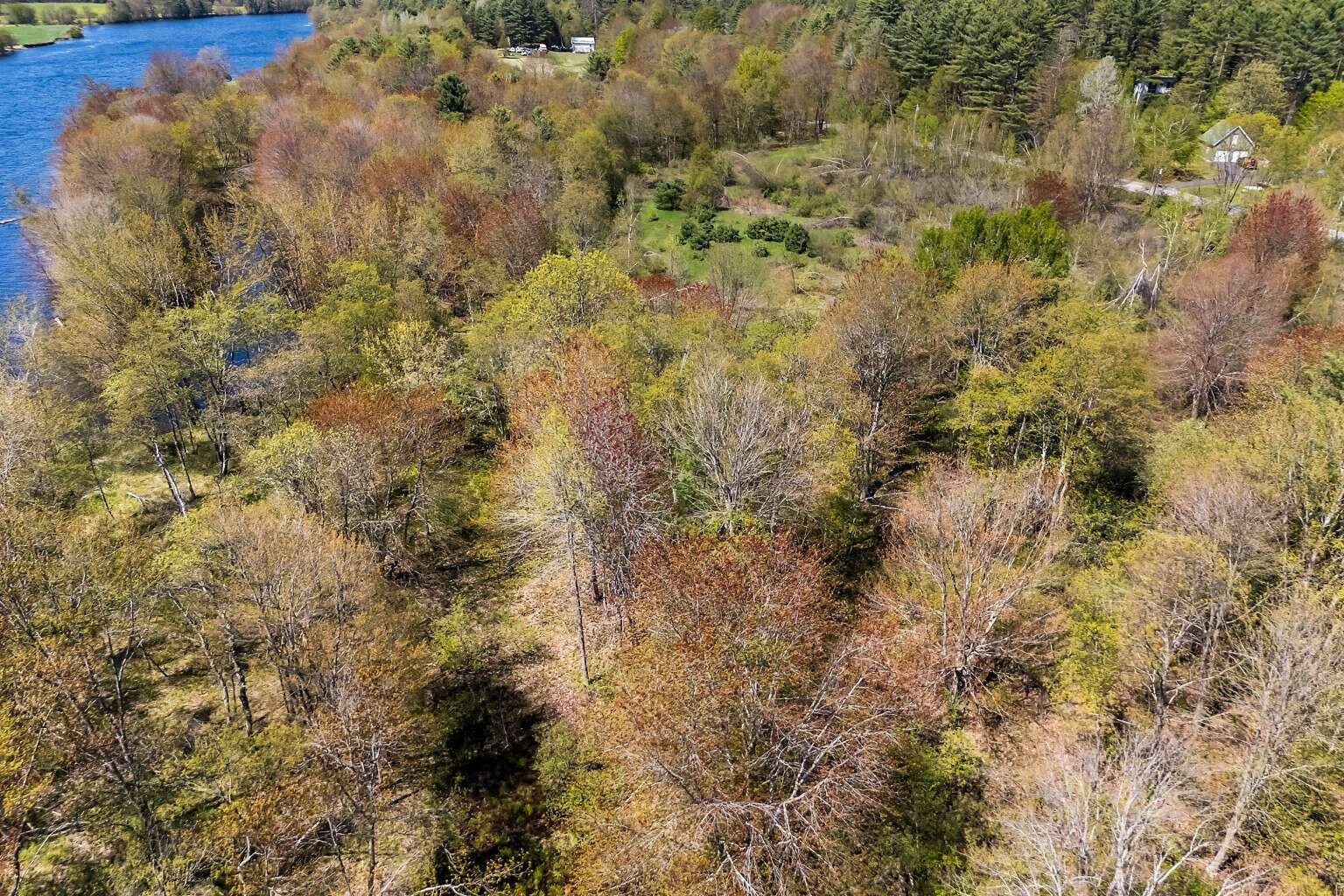 Lot B River Road