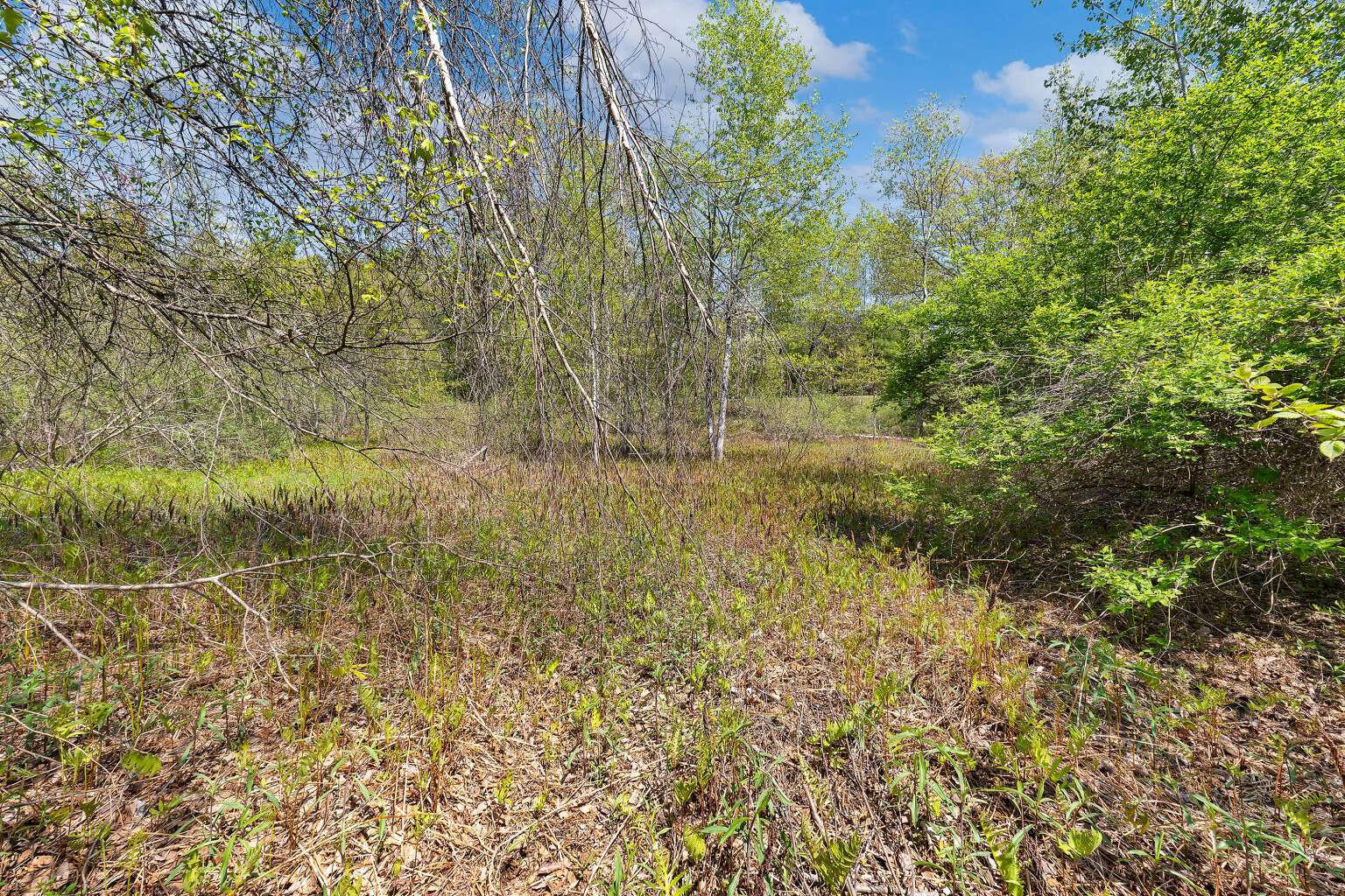 Lot B River Road