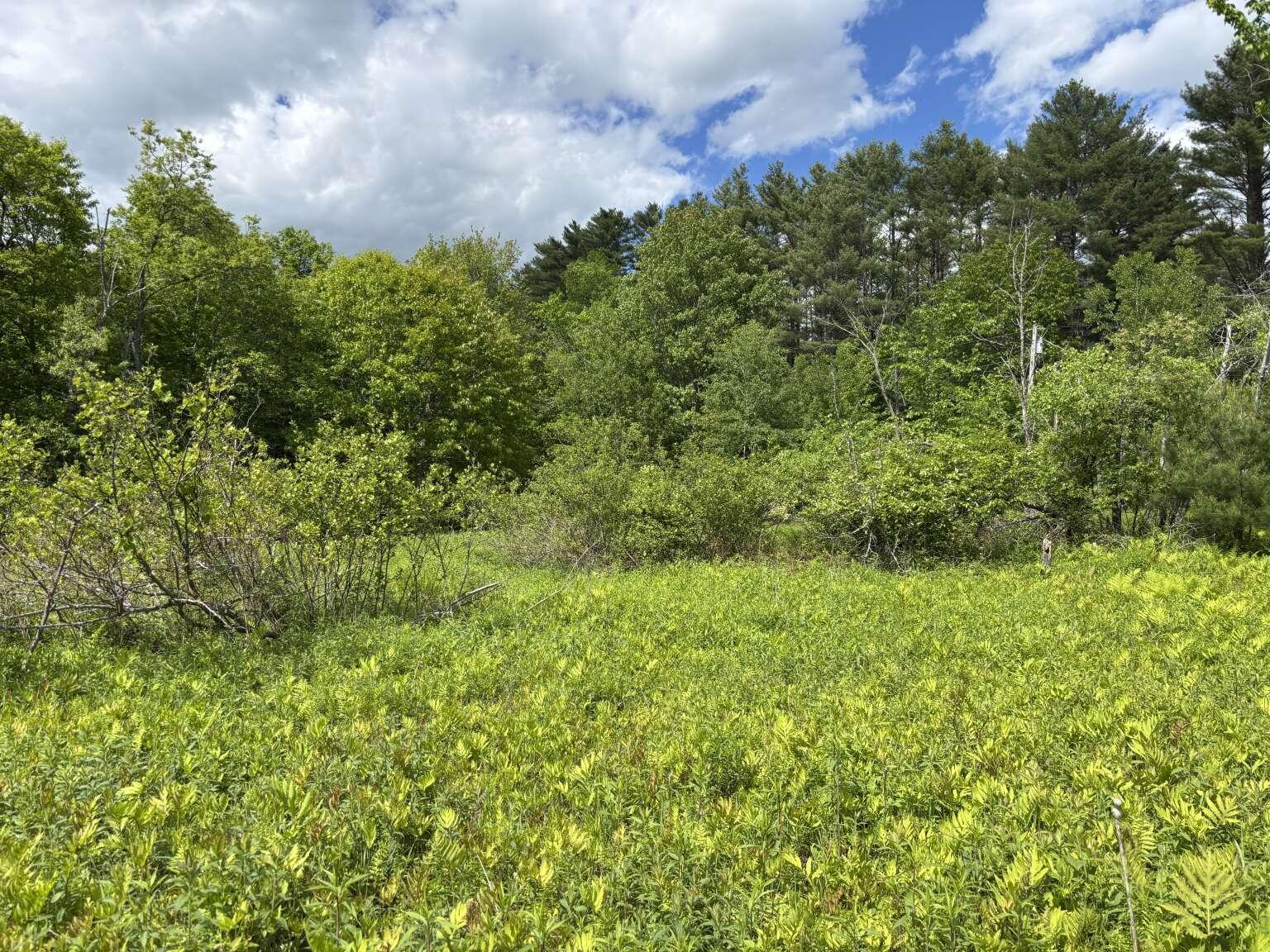 Lot B River Road