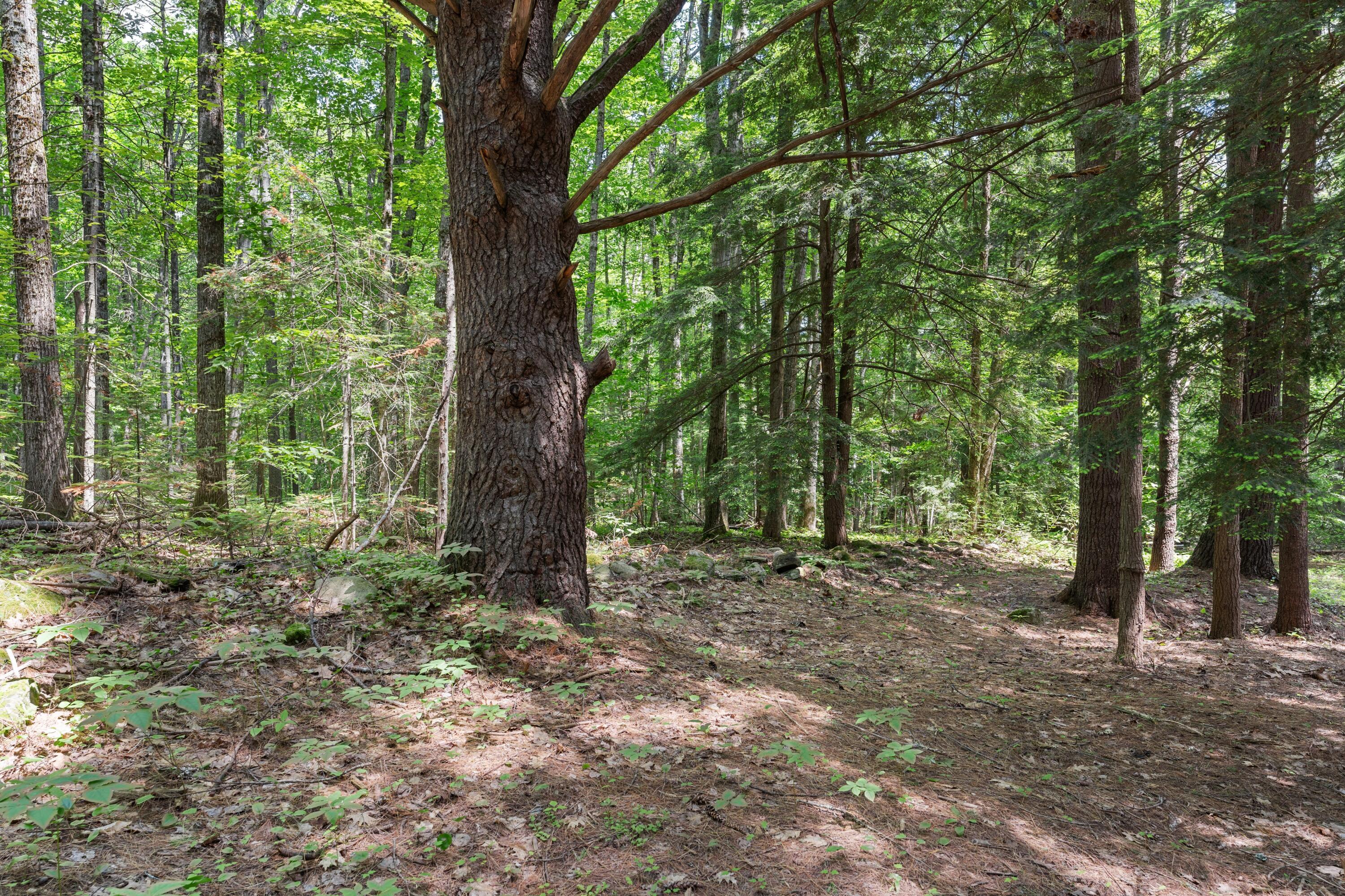 62 Country Club Road