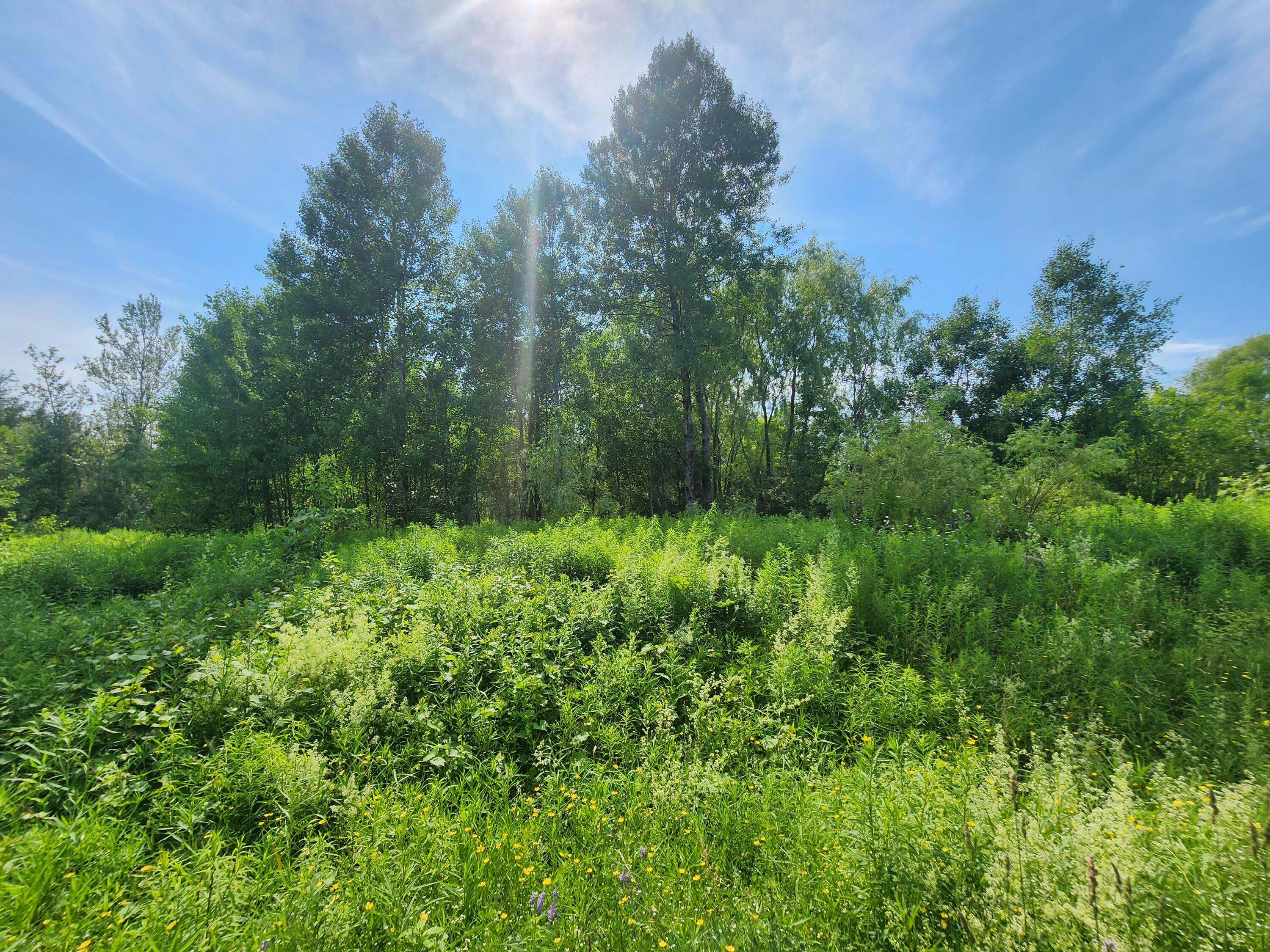 194 W Ridge Road