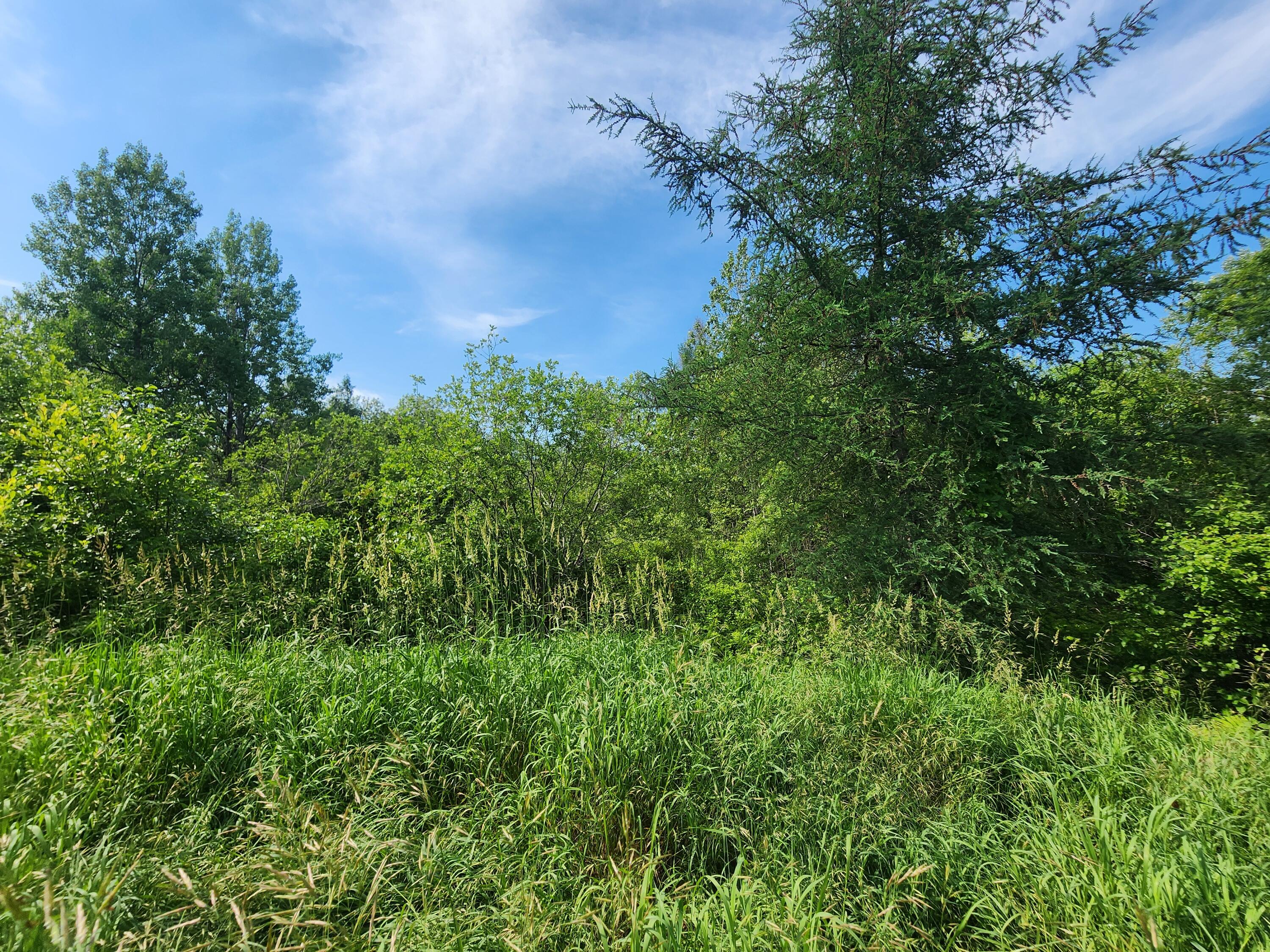 194 W Ridge Road