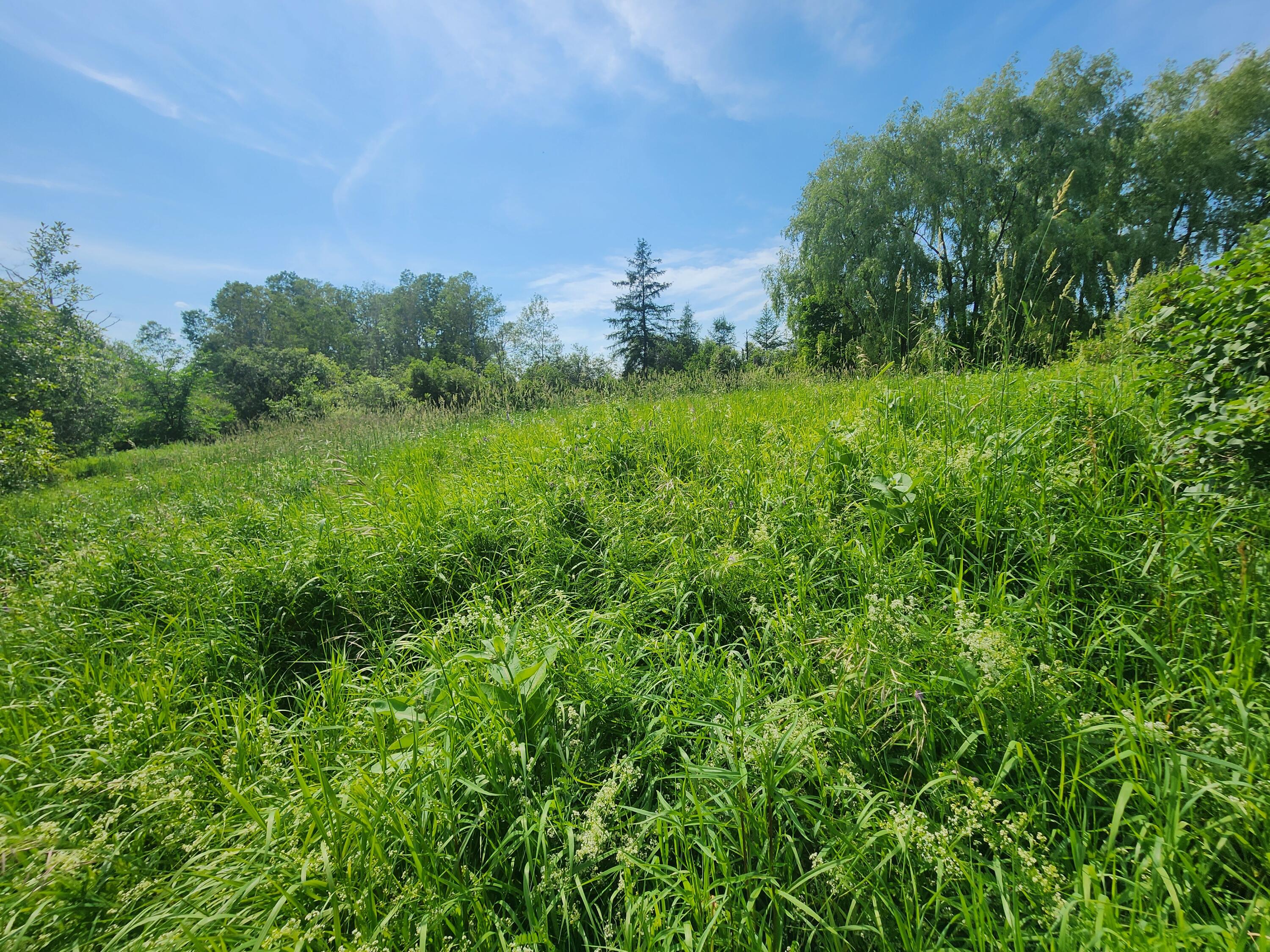 194 W Ridge Road
