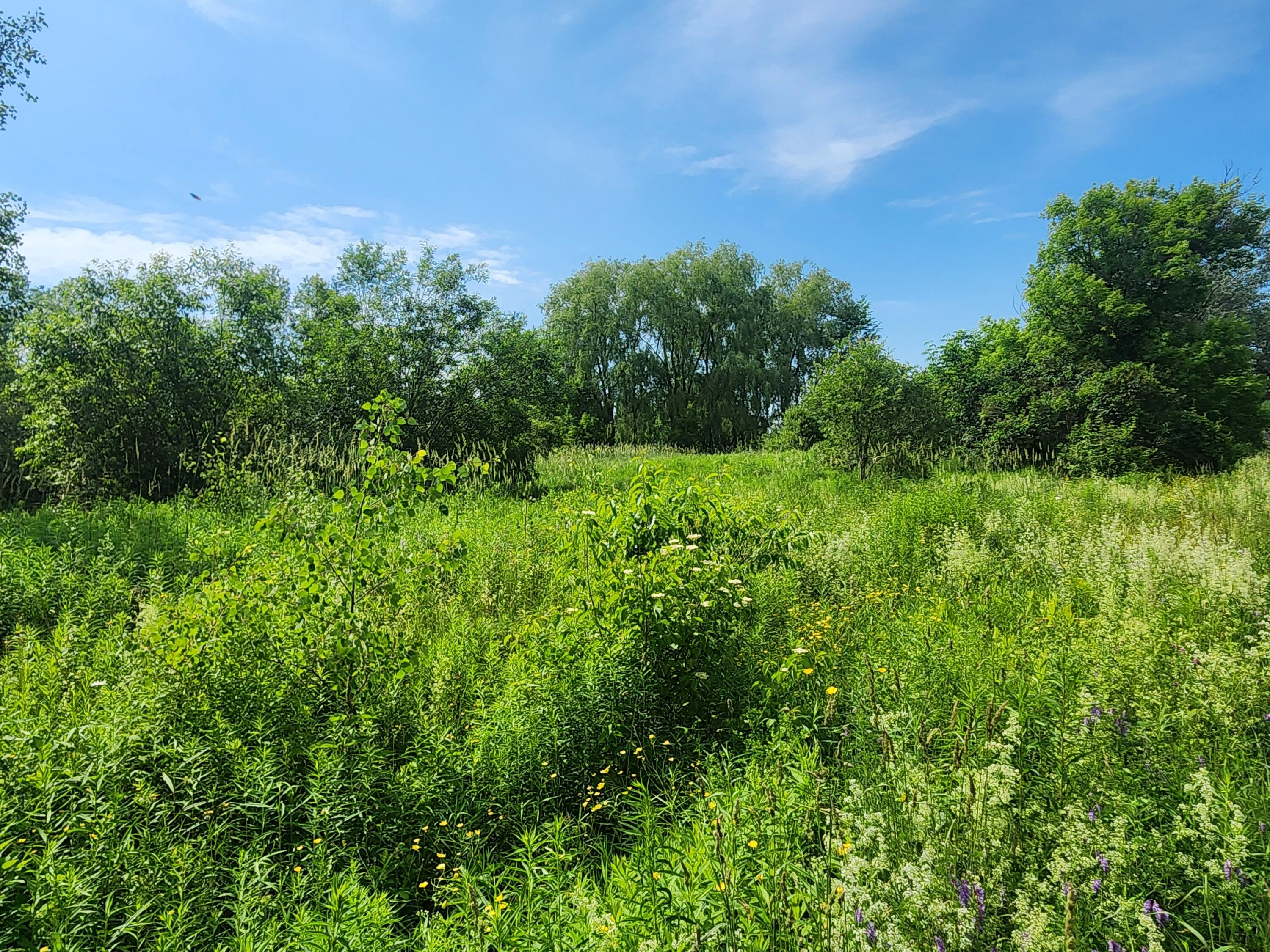 194 W Ridge Road