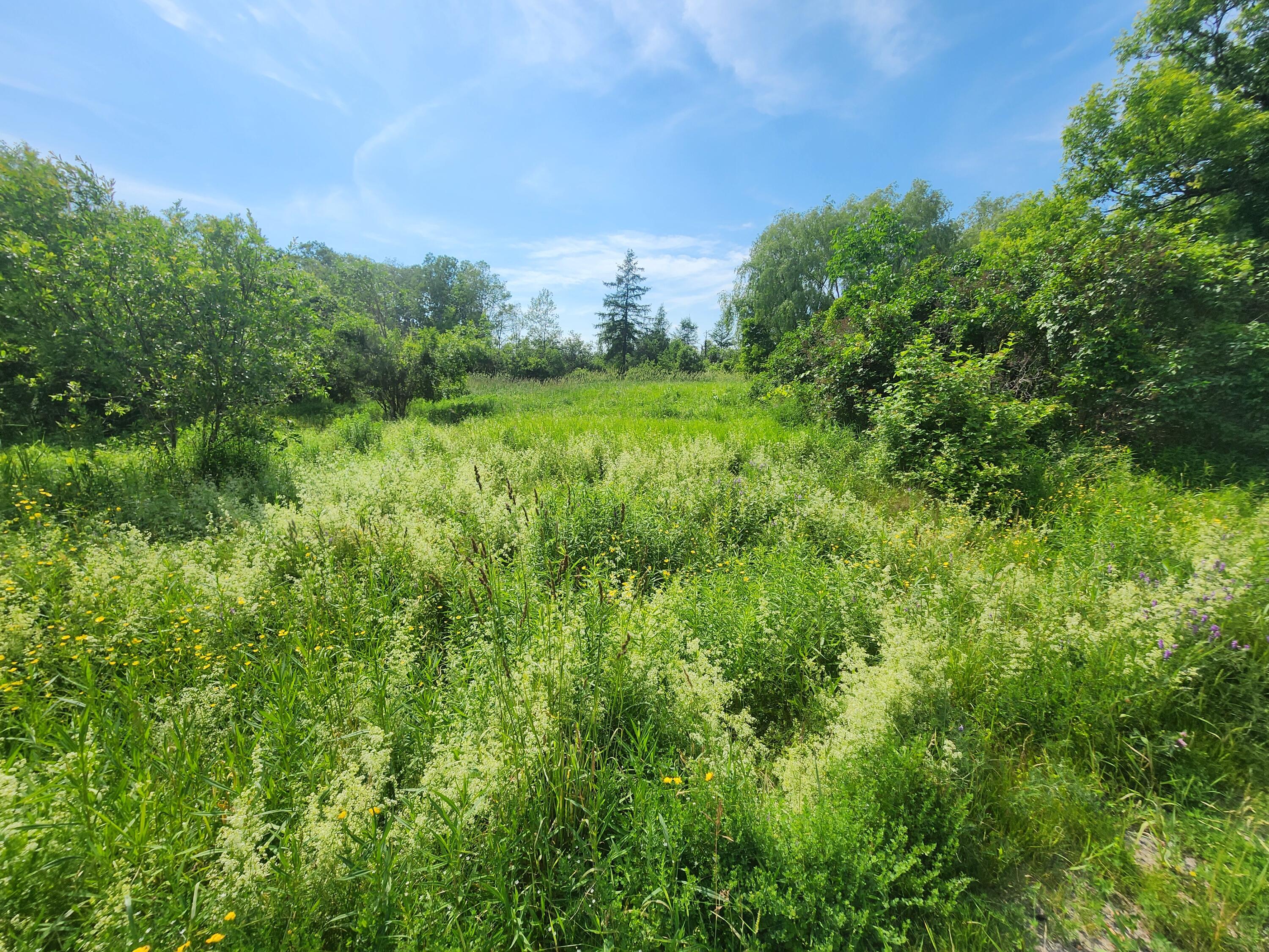 194 W Ridge Road