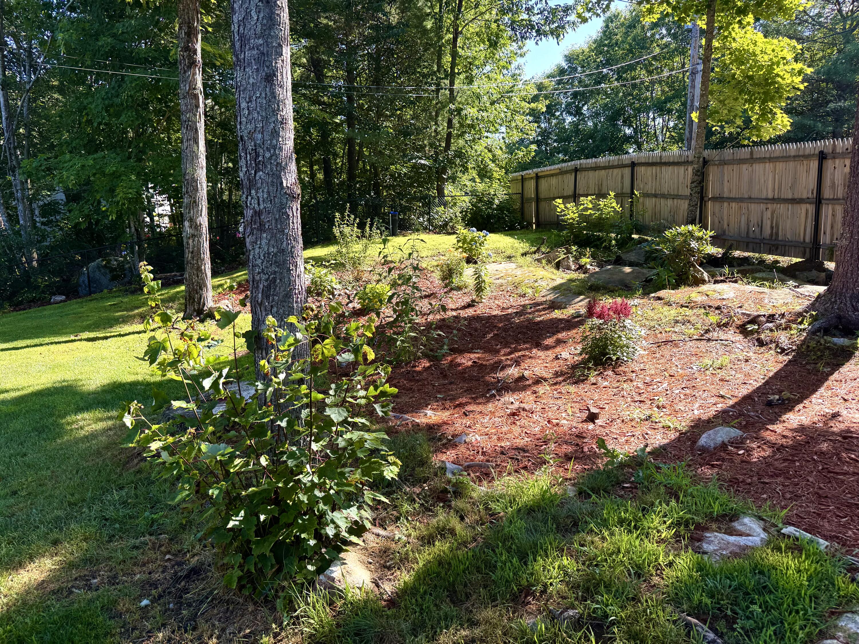 88 Hillcrest Dr Extension