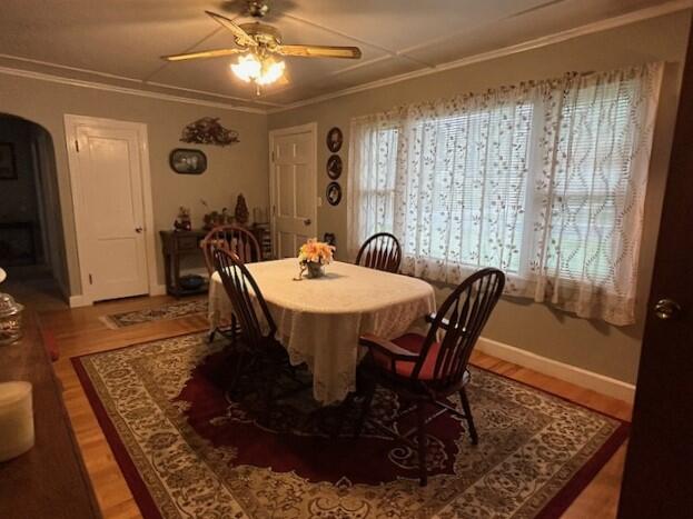 11 Averill Terrace
