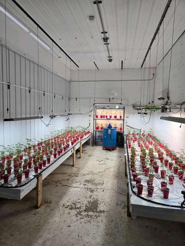 55 Industrial Street