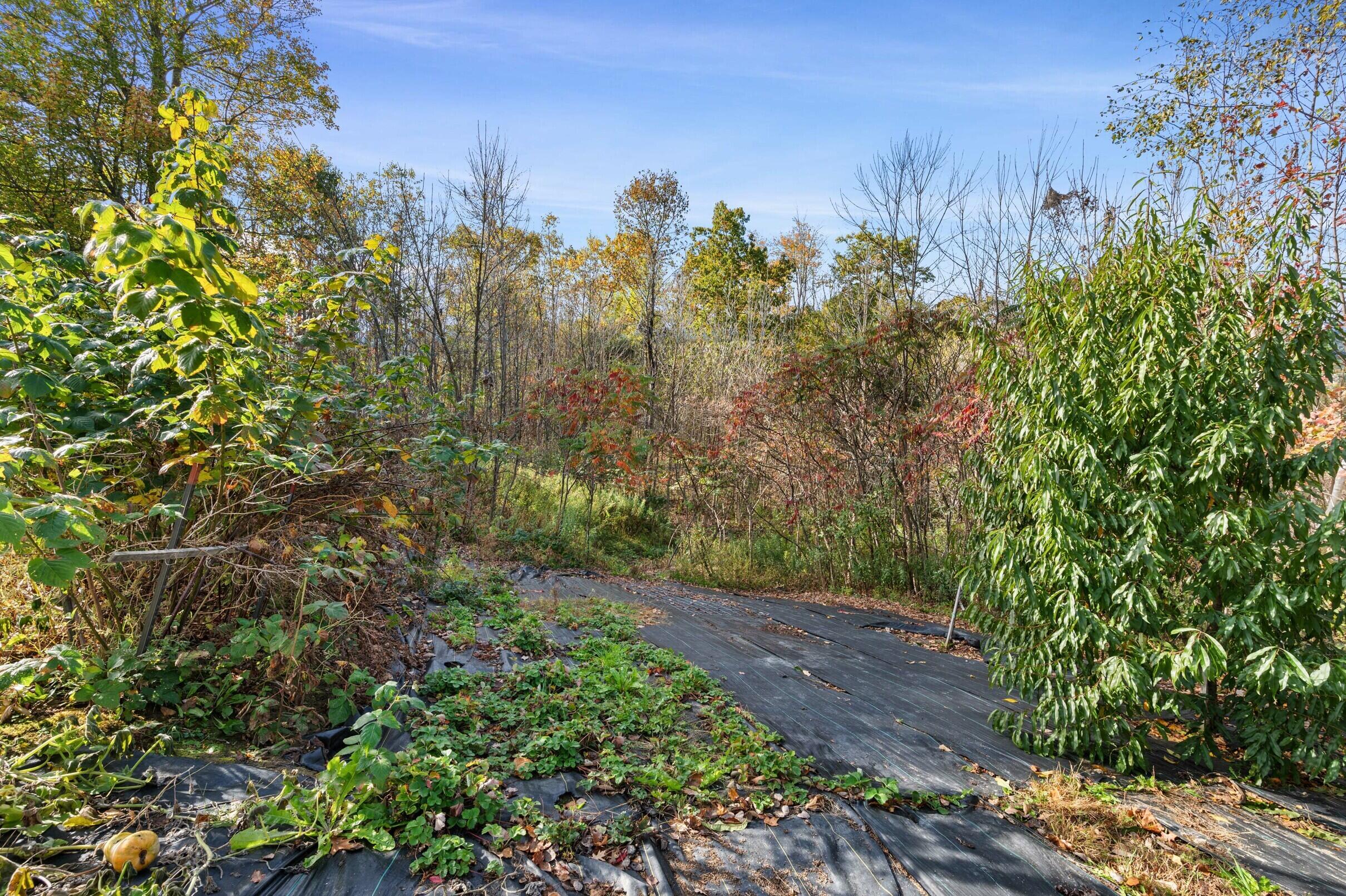 1618 Riverside Drive