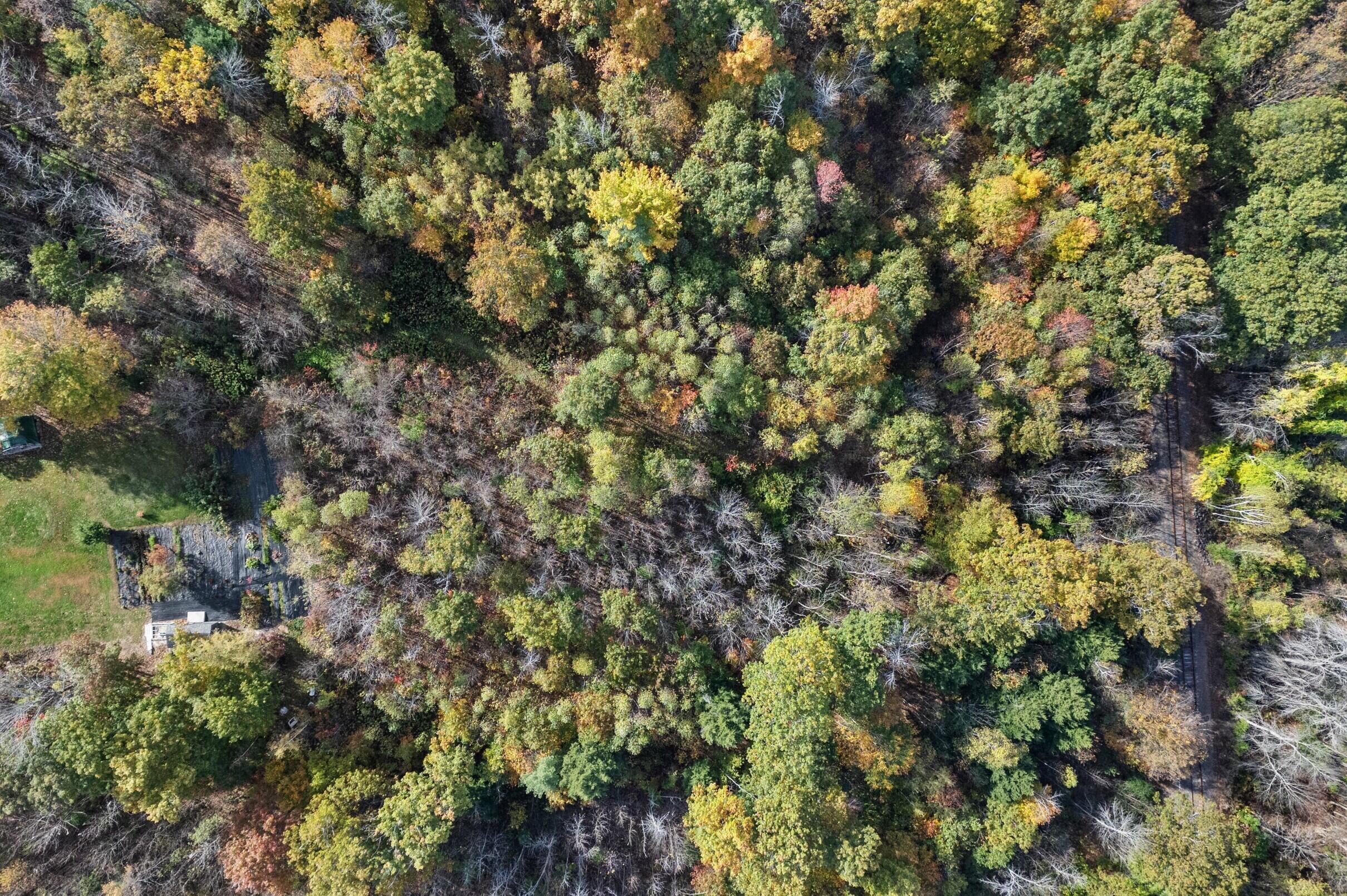 1618 Riverside Drive