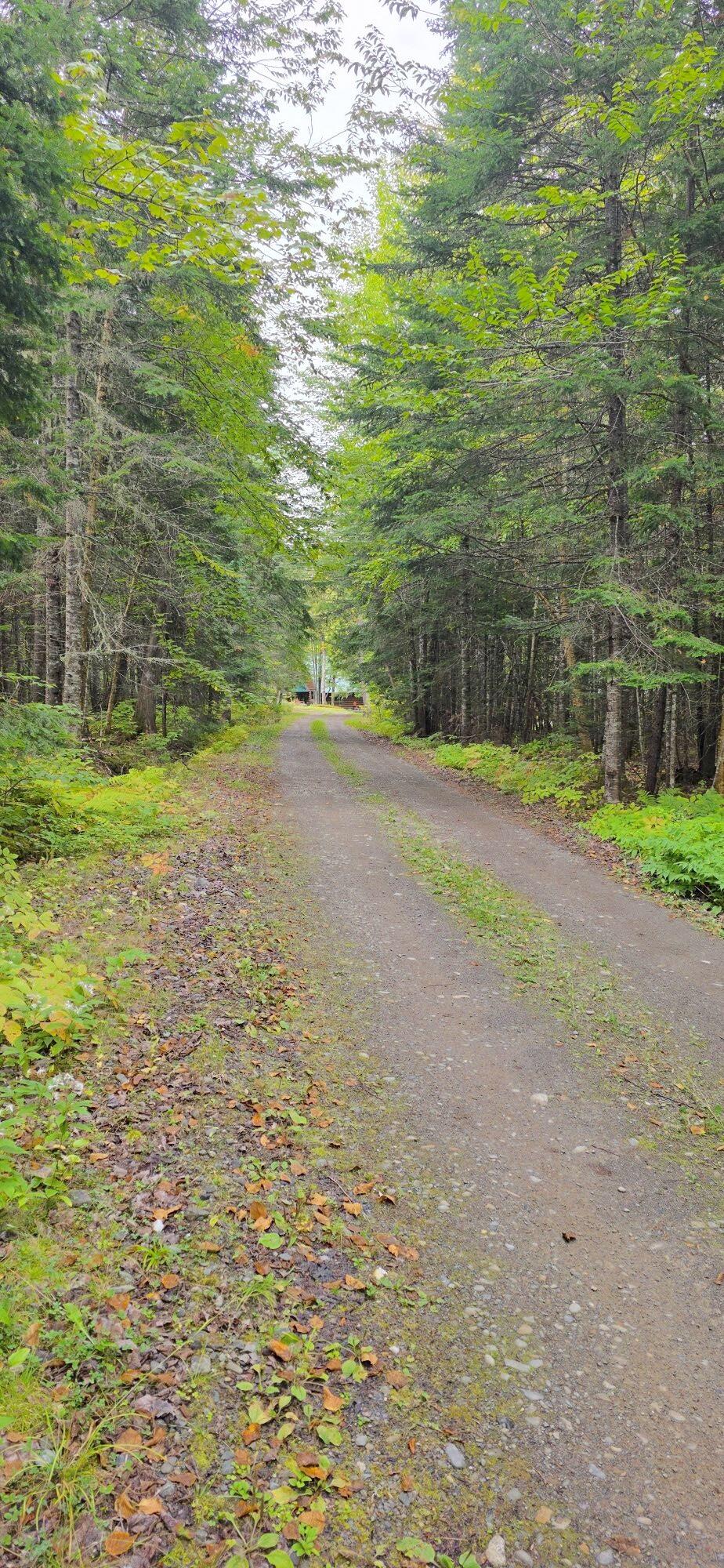 9 Jerry's Road