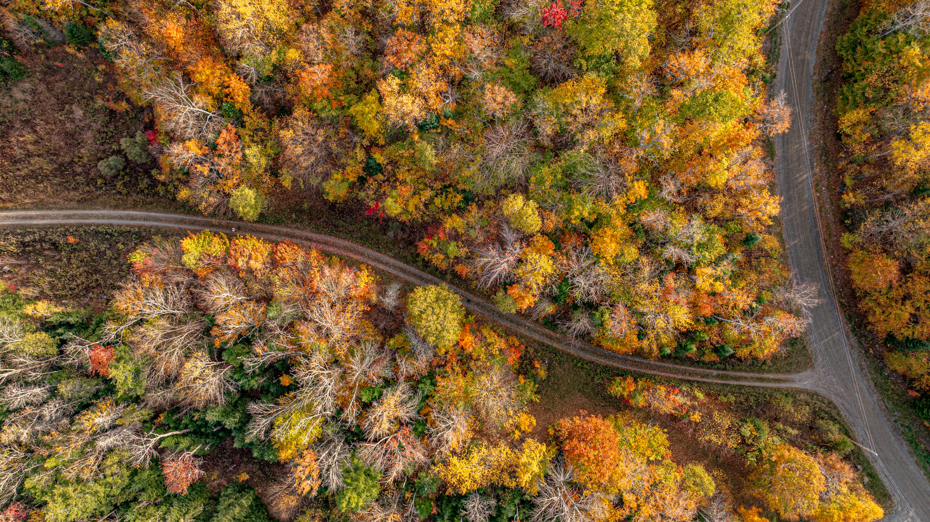 13A-1 ELEPHANT MOUNTAIN