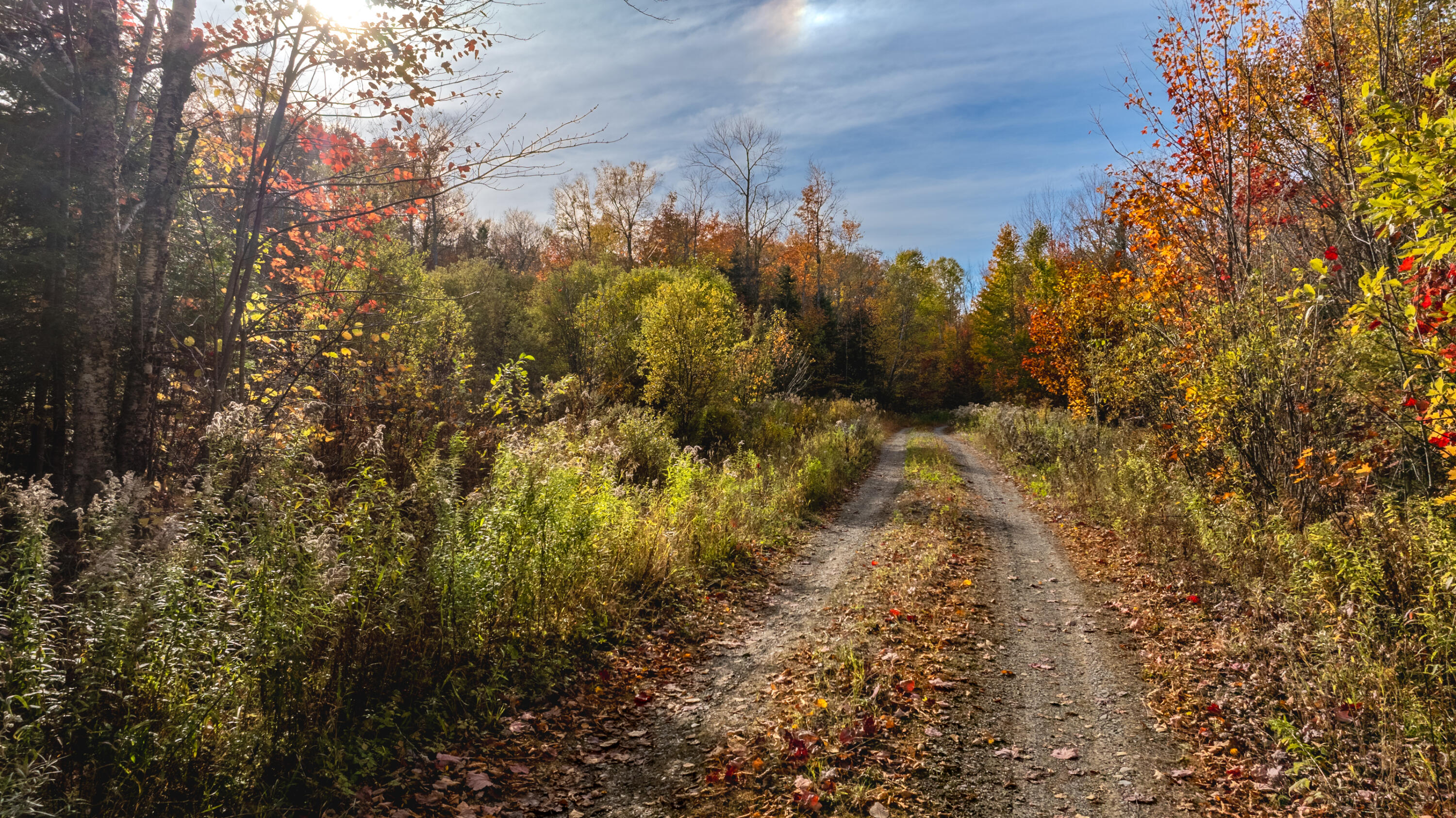 13A-1 ELEPHANT MOUNTAIN