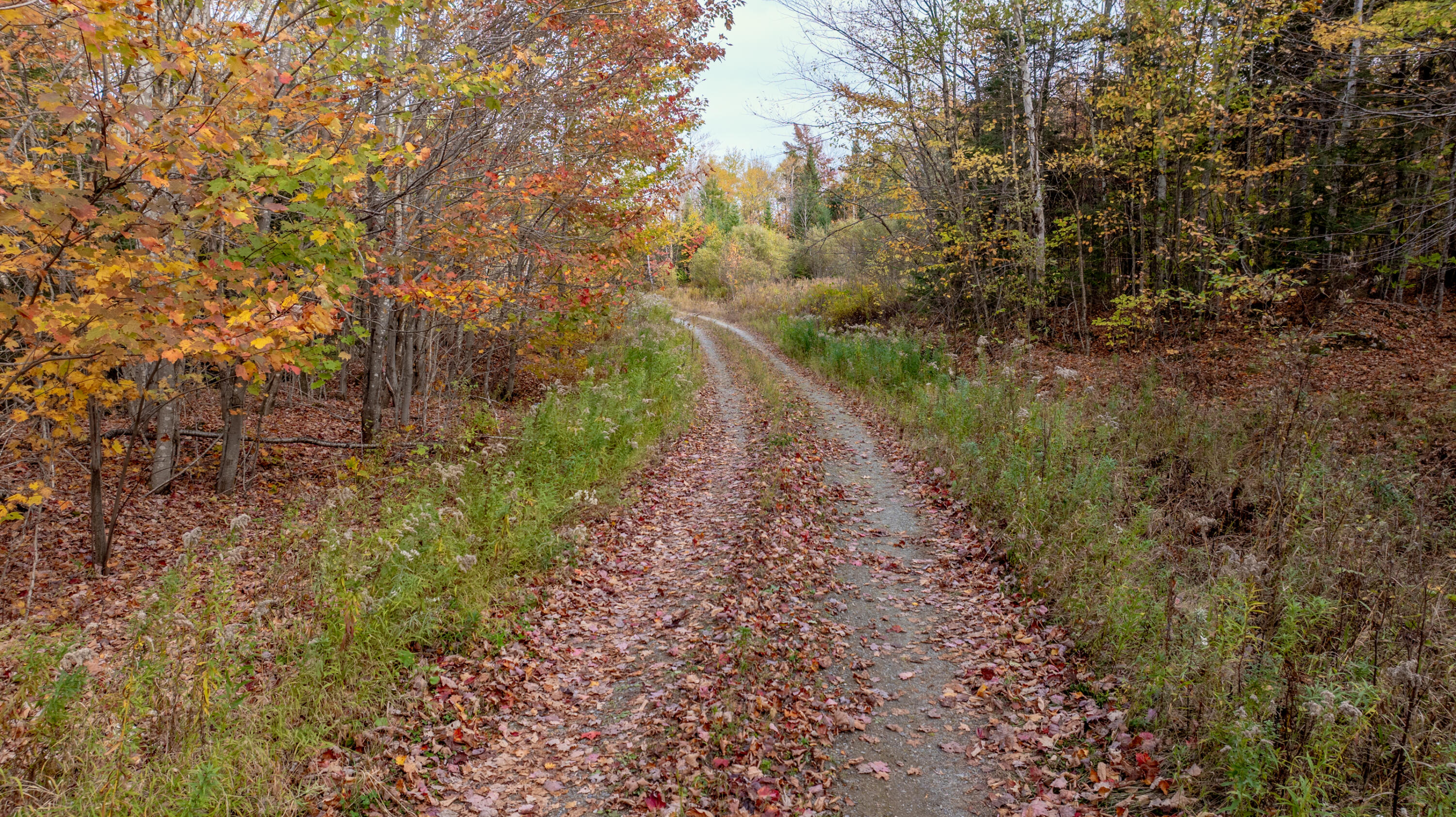 13A-1 ELEPHANT MOUNTAIN