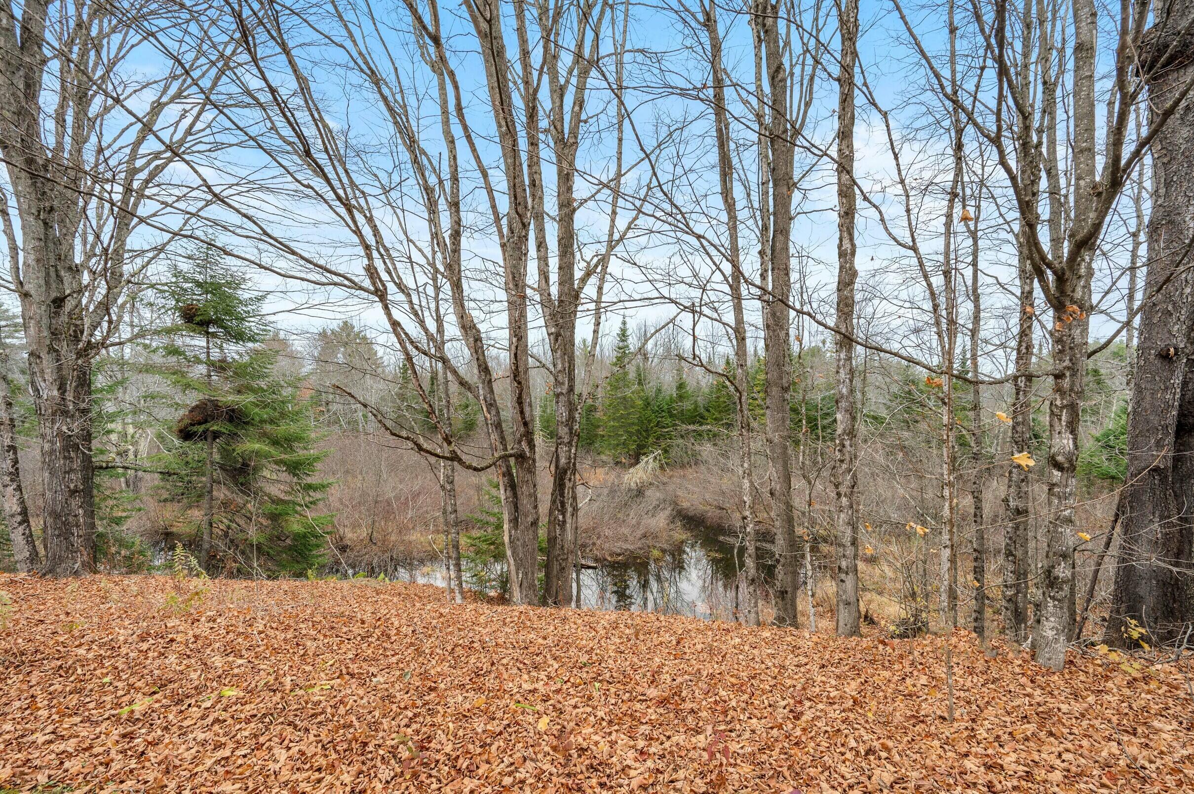 Skowhegan