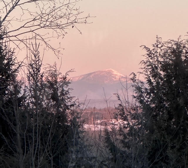 7 Emerald Acres