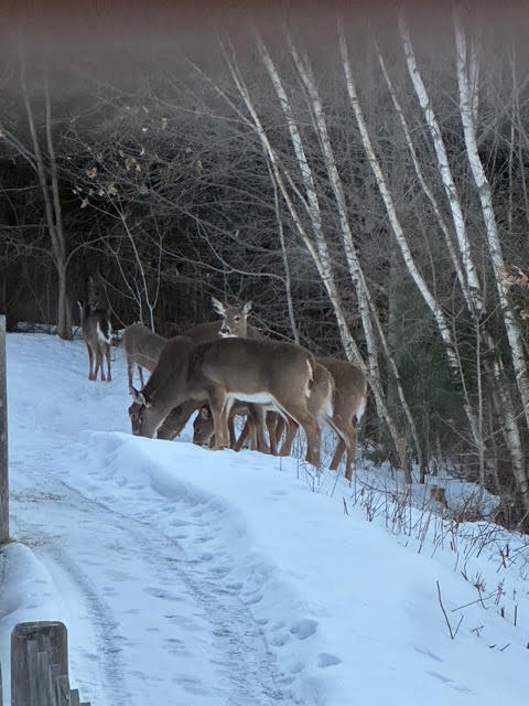 7 Emerald Acres