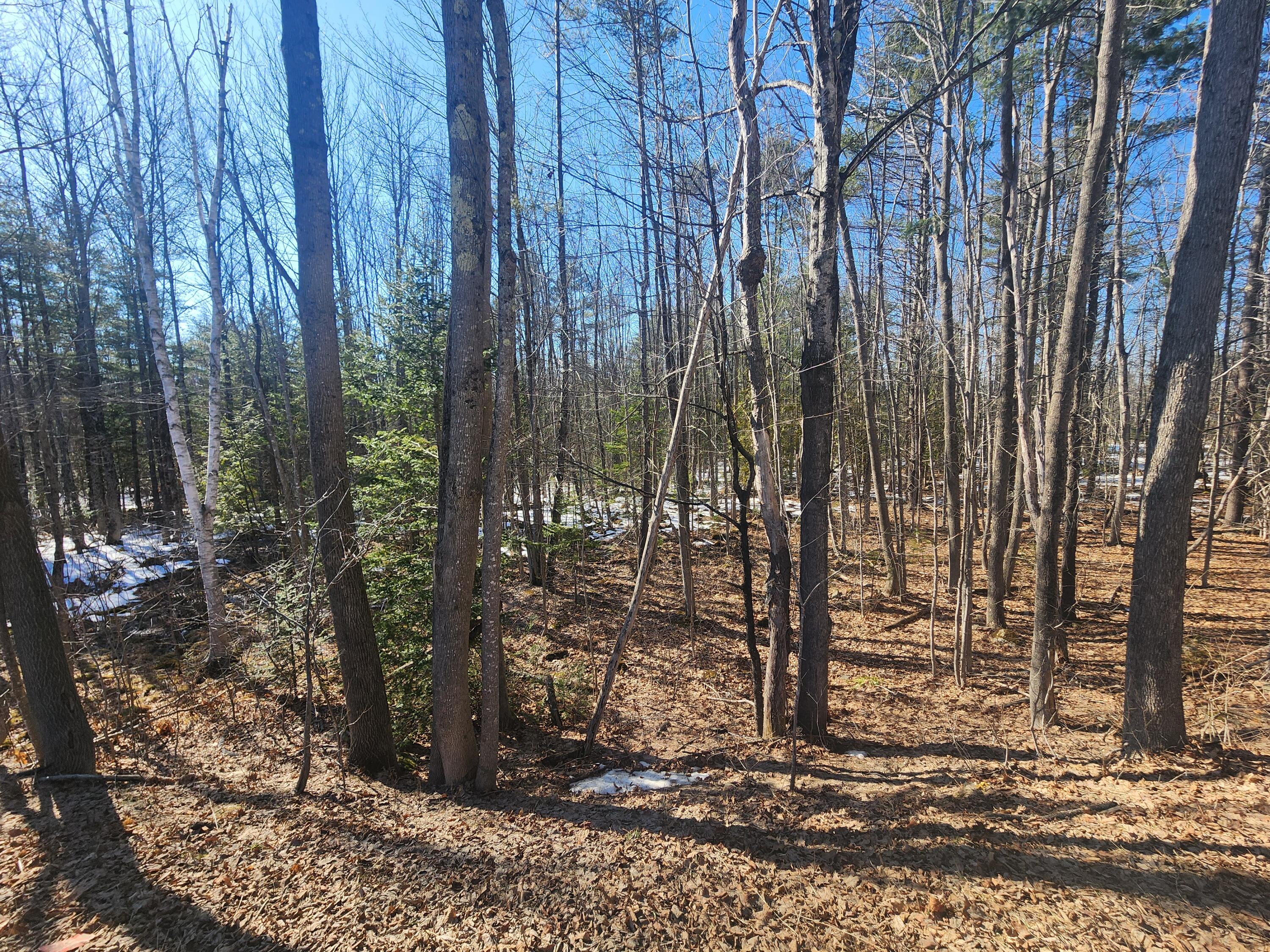 Lot 38 S Reynolds Road