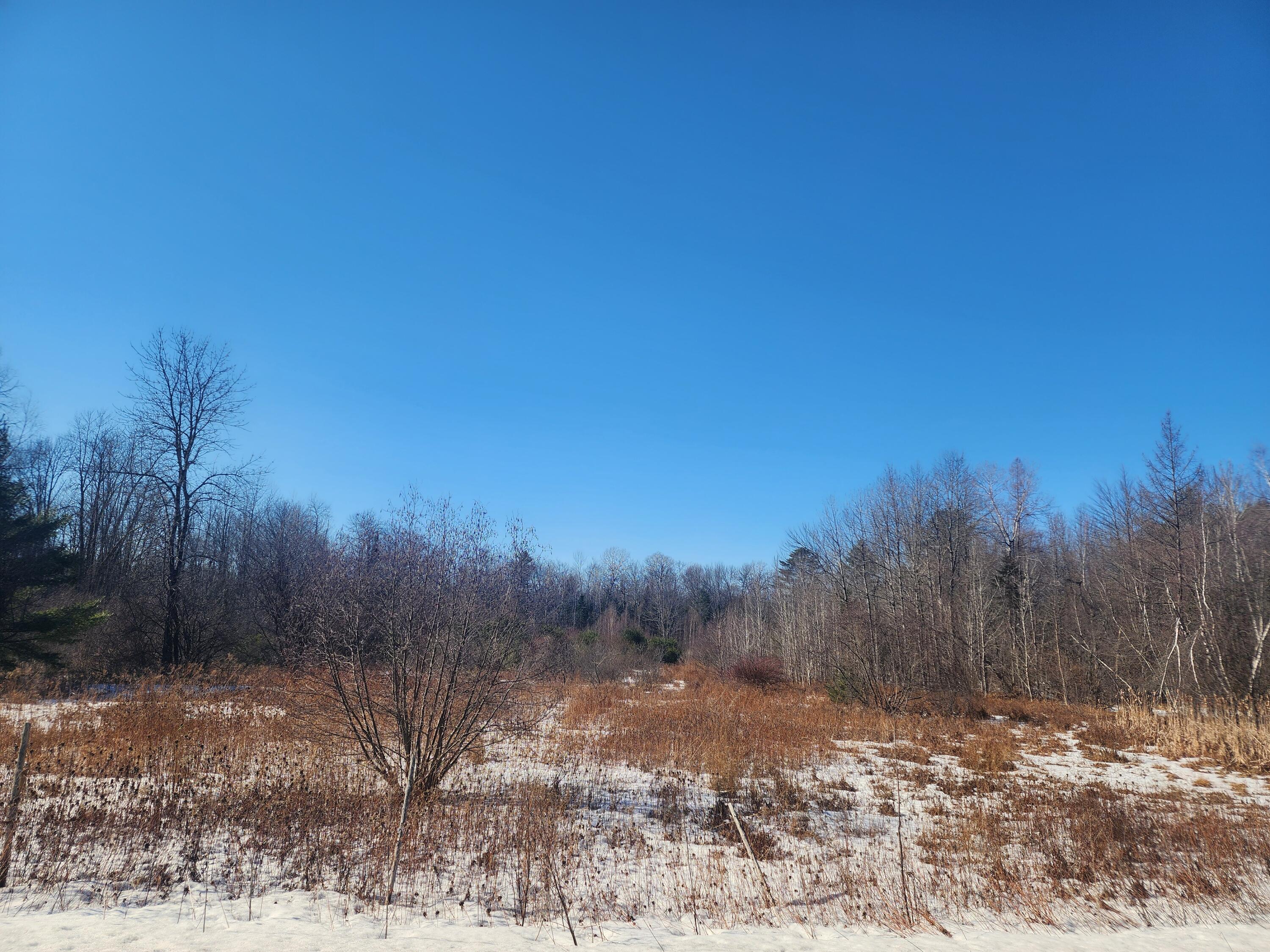 Lot 38 S Reynolds Road