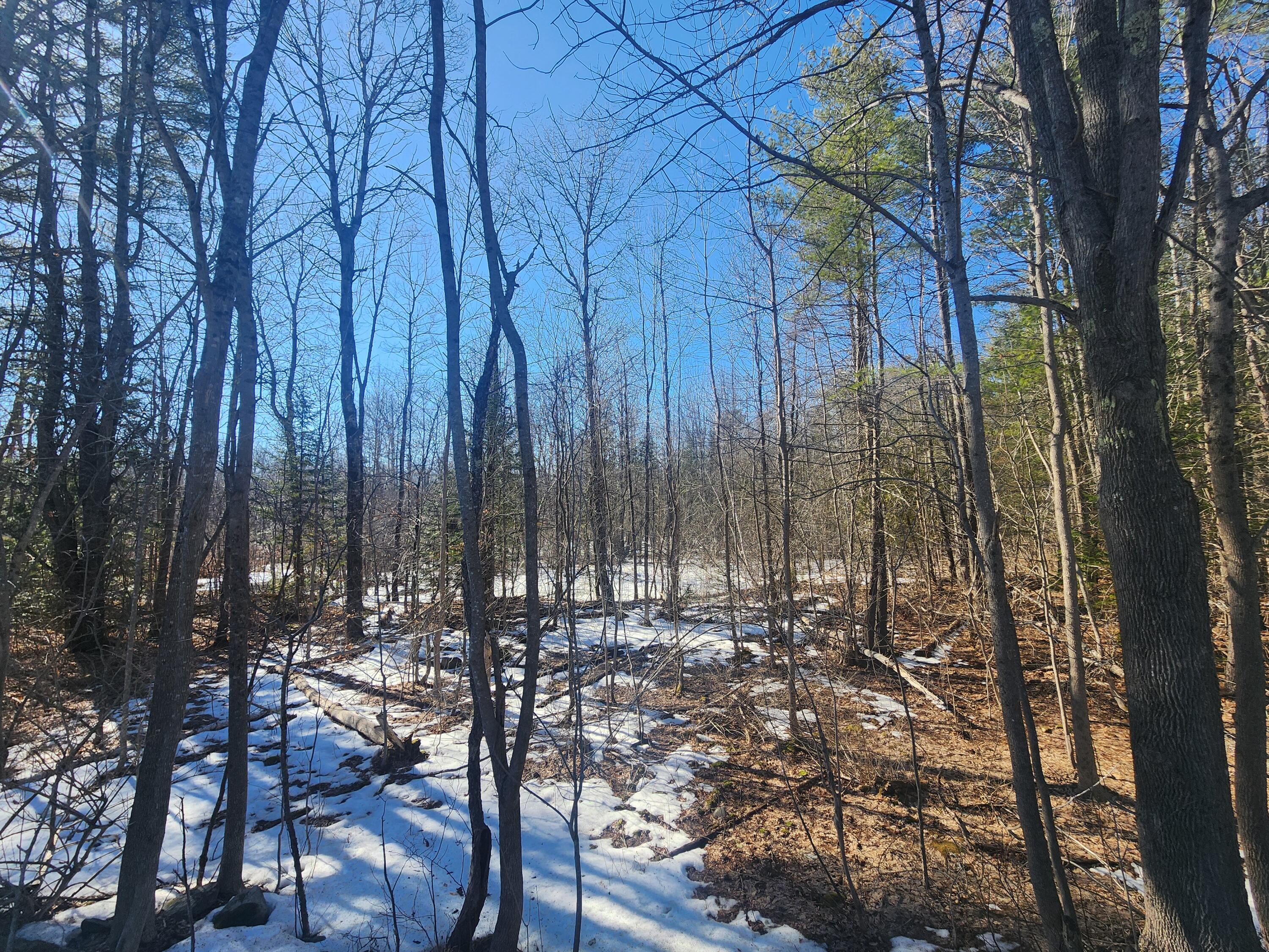 Lot 38 S Reynolds Road