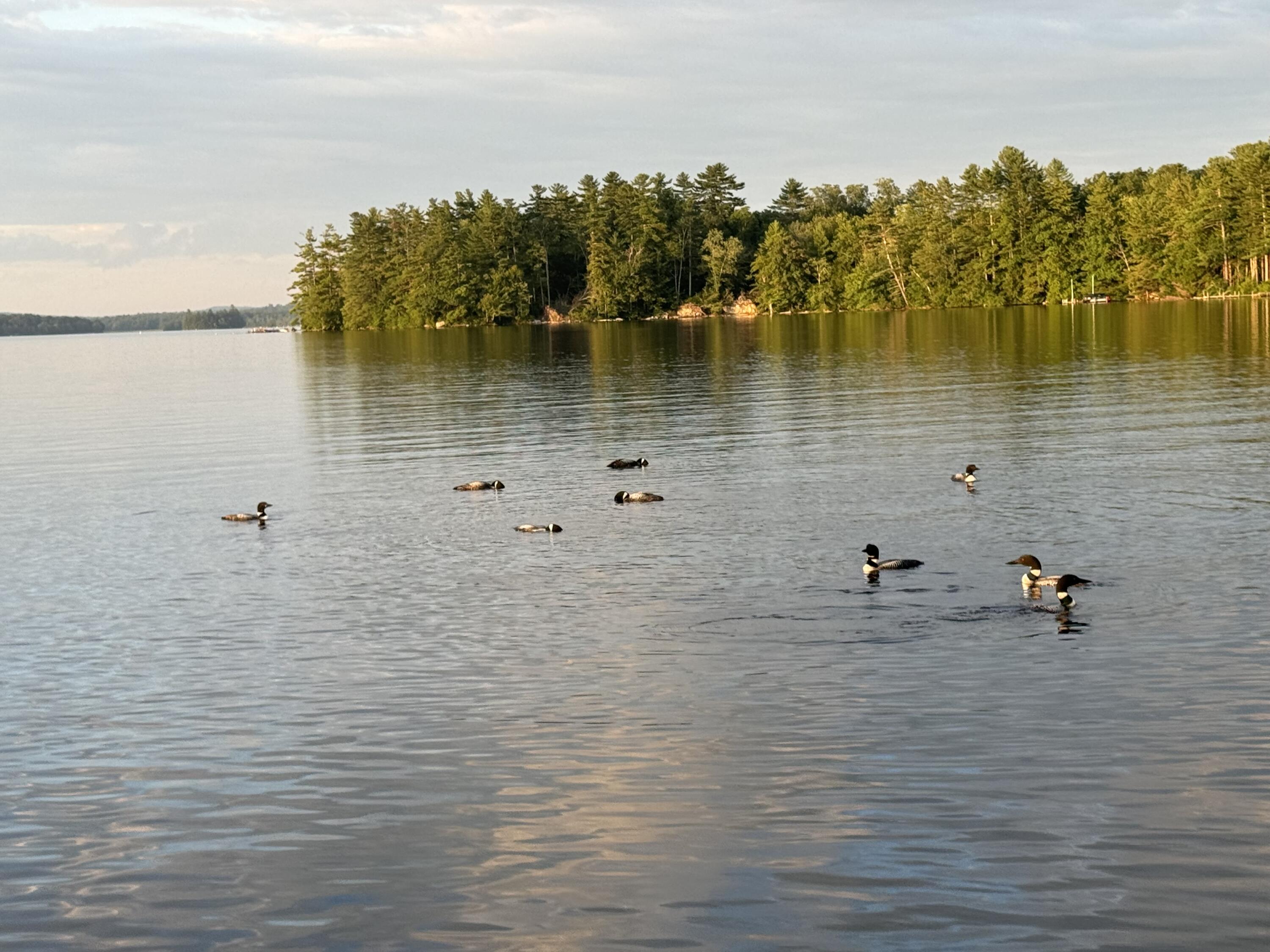 74 Maple Ridge Drive