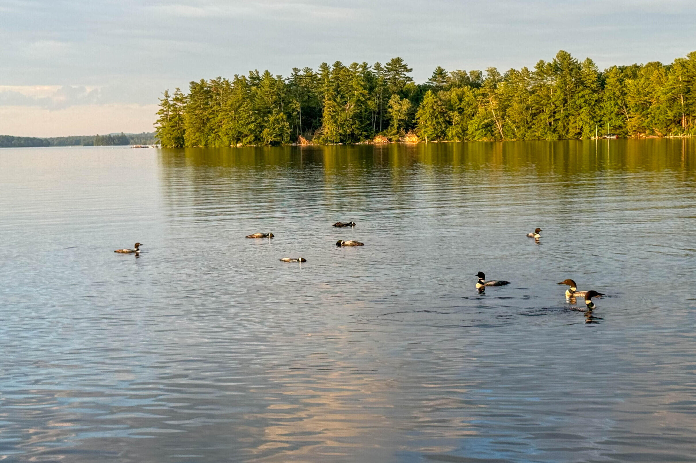 74 Maple Ridge Drive