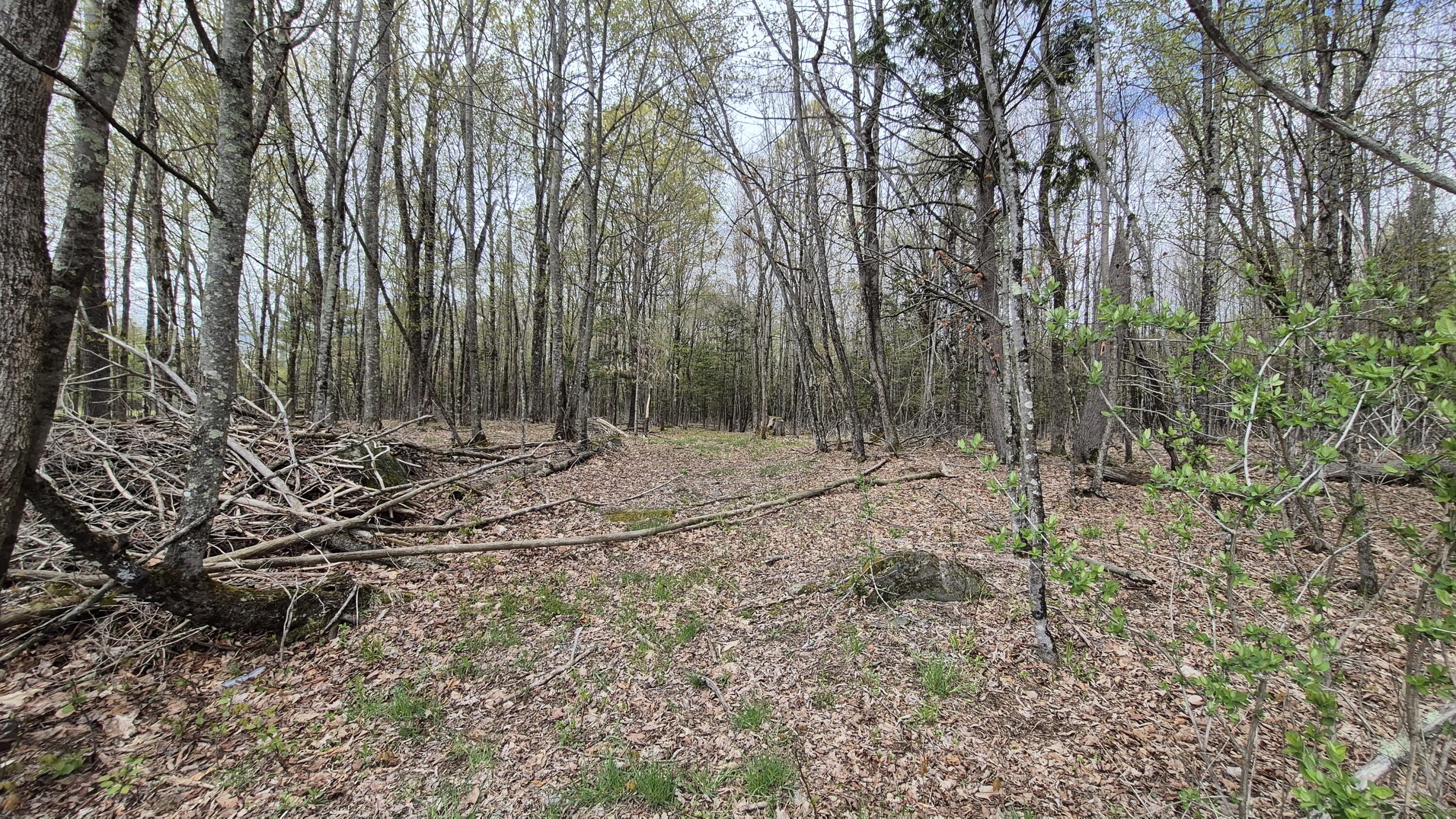 Lot 29-A Hill Road