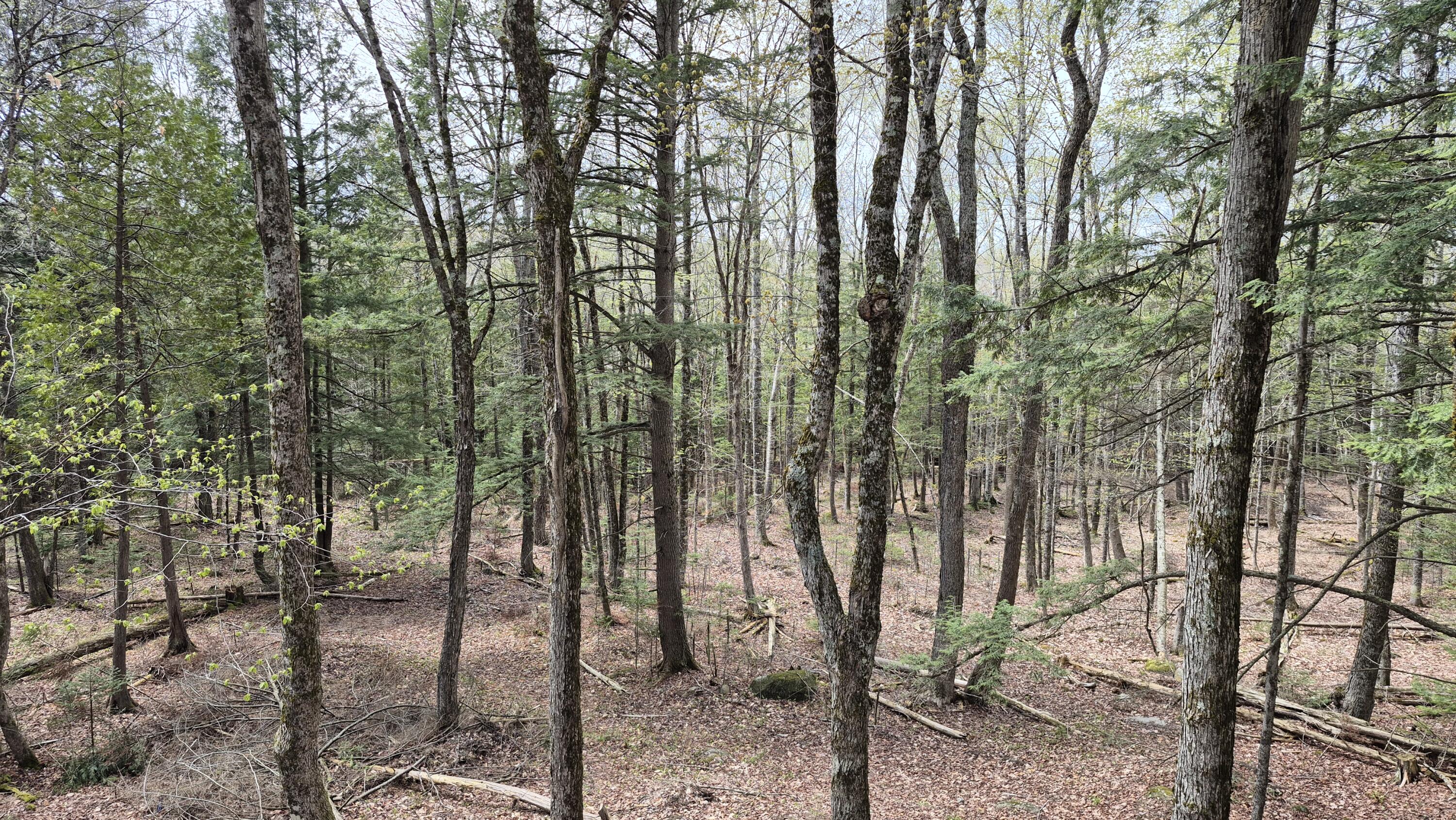 Lot 29-A Hill Road