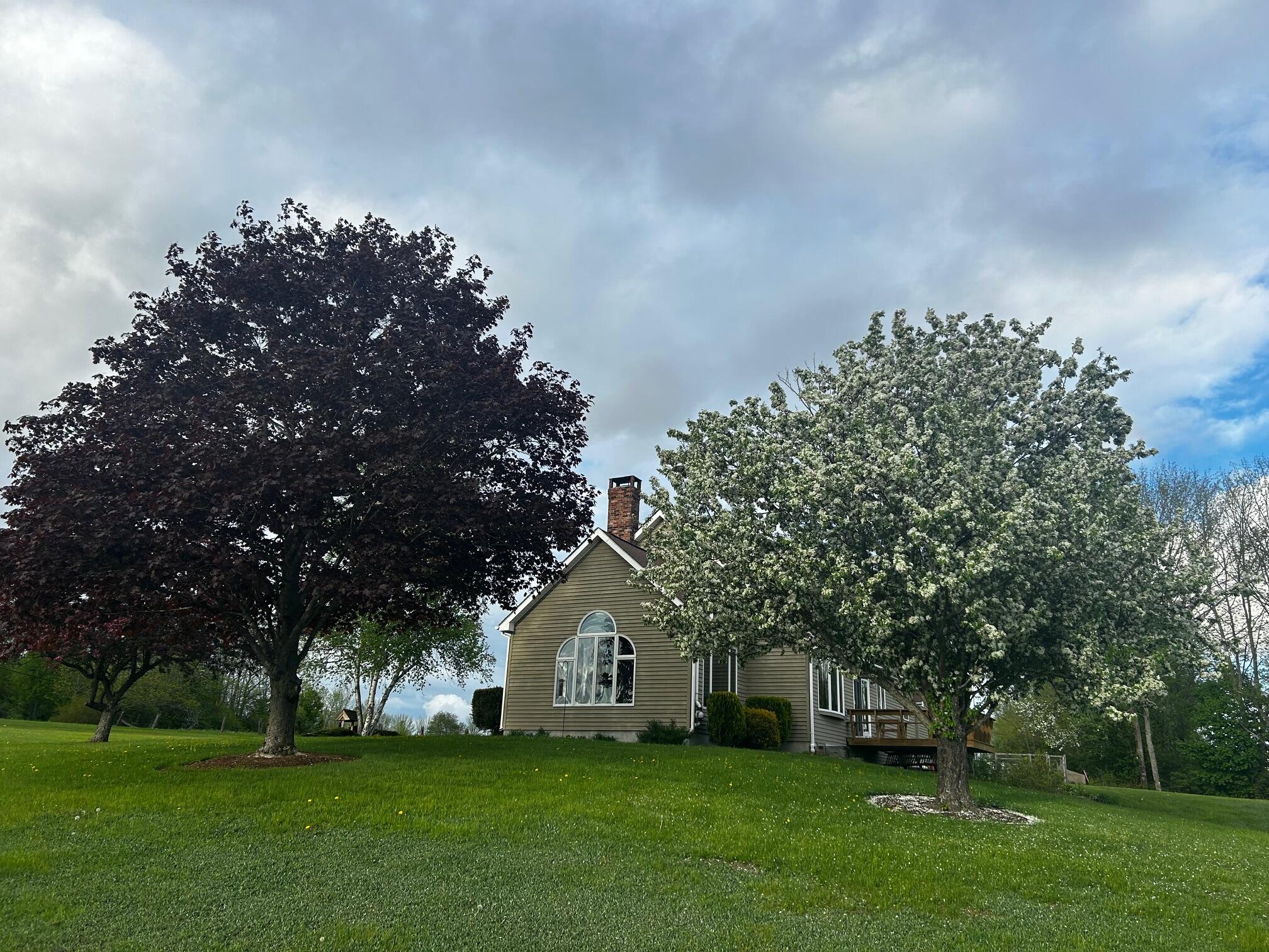 113 Stetson Road