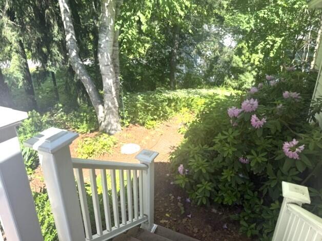 51 Mayflower Hill Drive