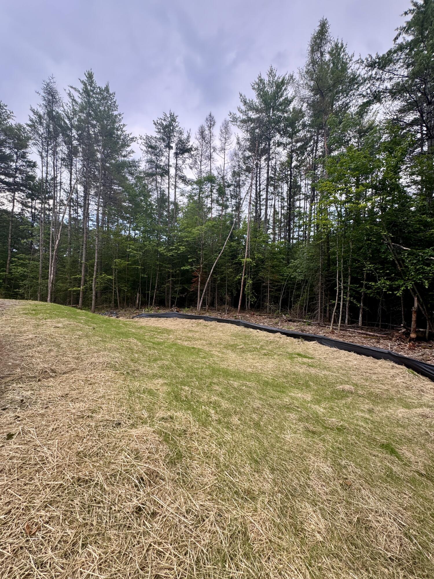 Lot 10A Old Norridgewock Road