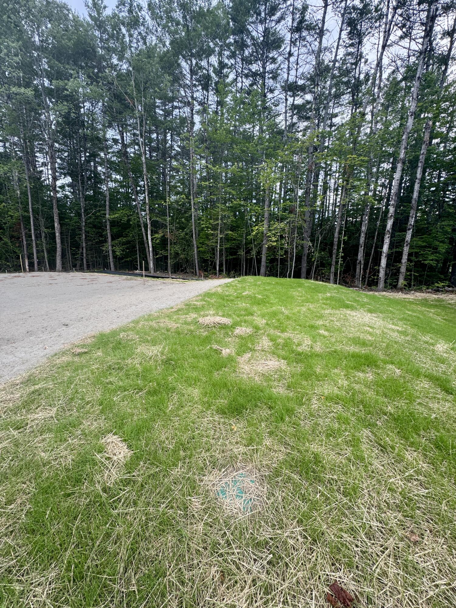 Lot 10A Old Norridgewock Road