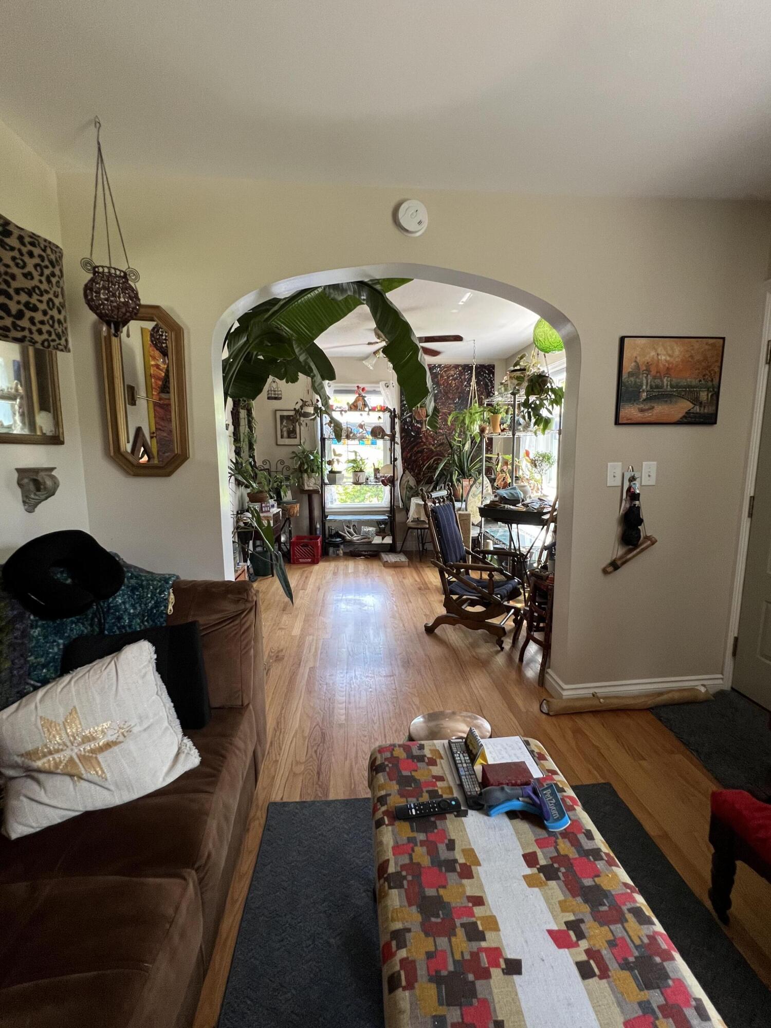 54 Pettingill Street
