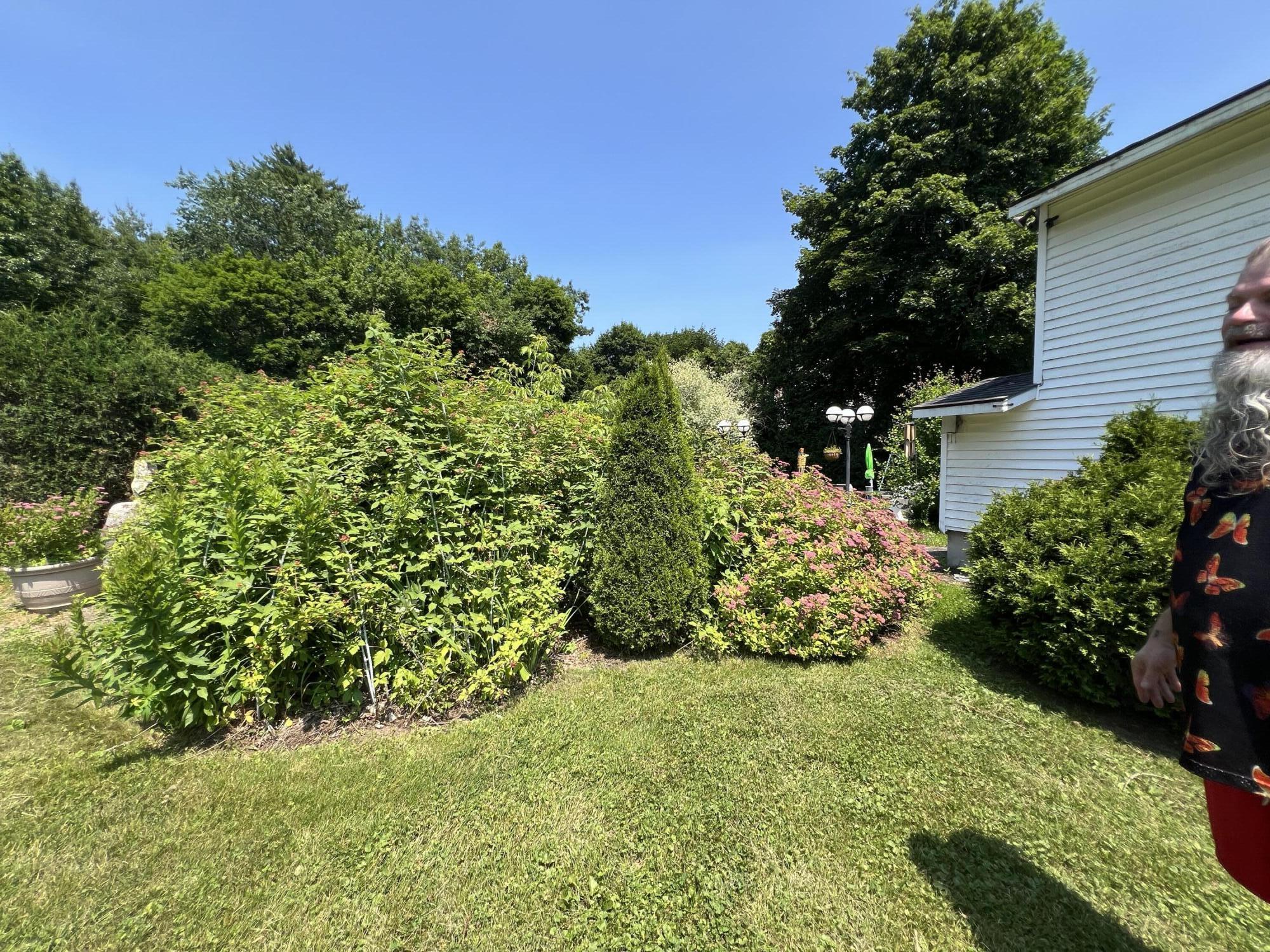 54 Pettingill Street