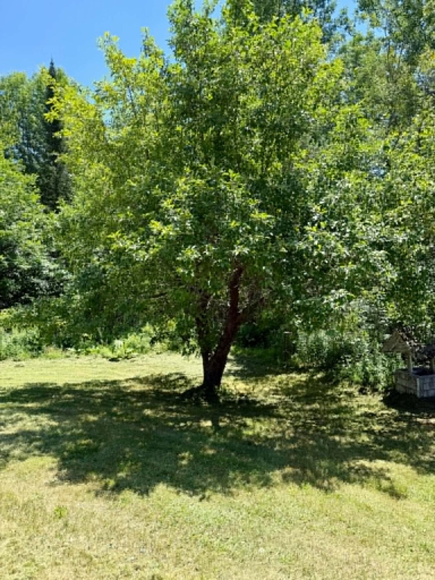 783 Western Ridge Road