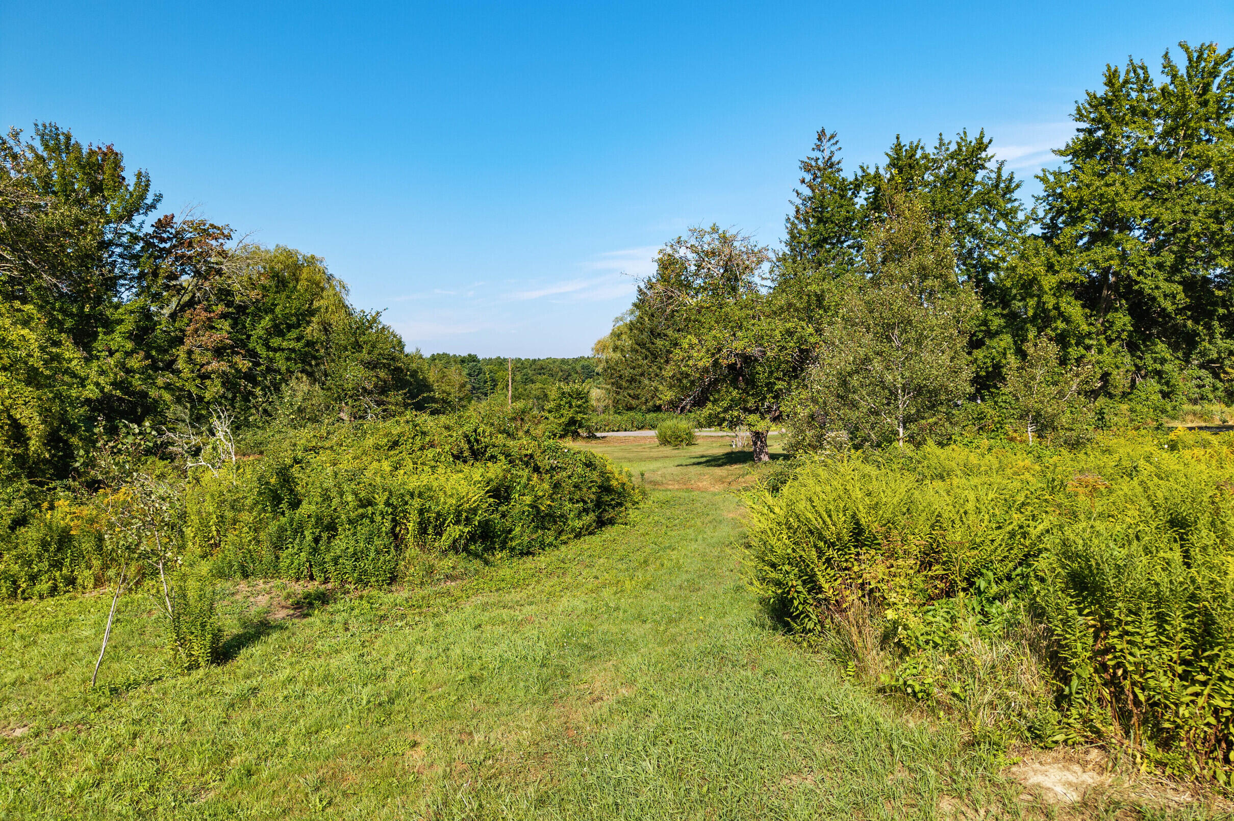 665 Alexander Reed Road