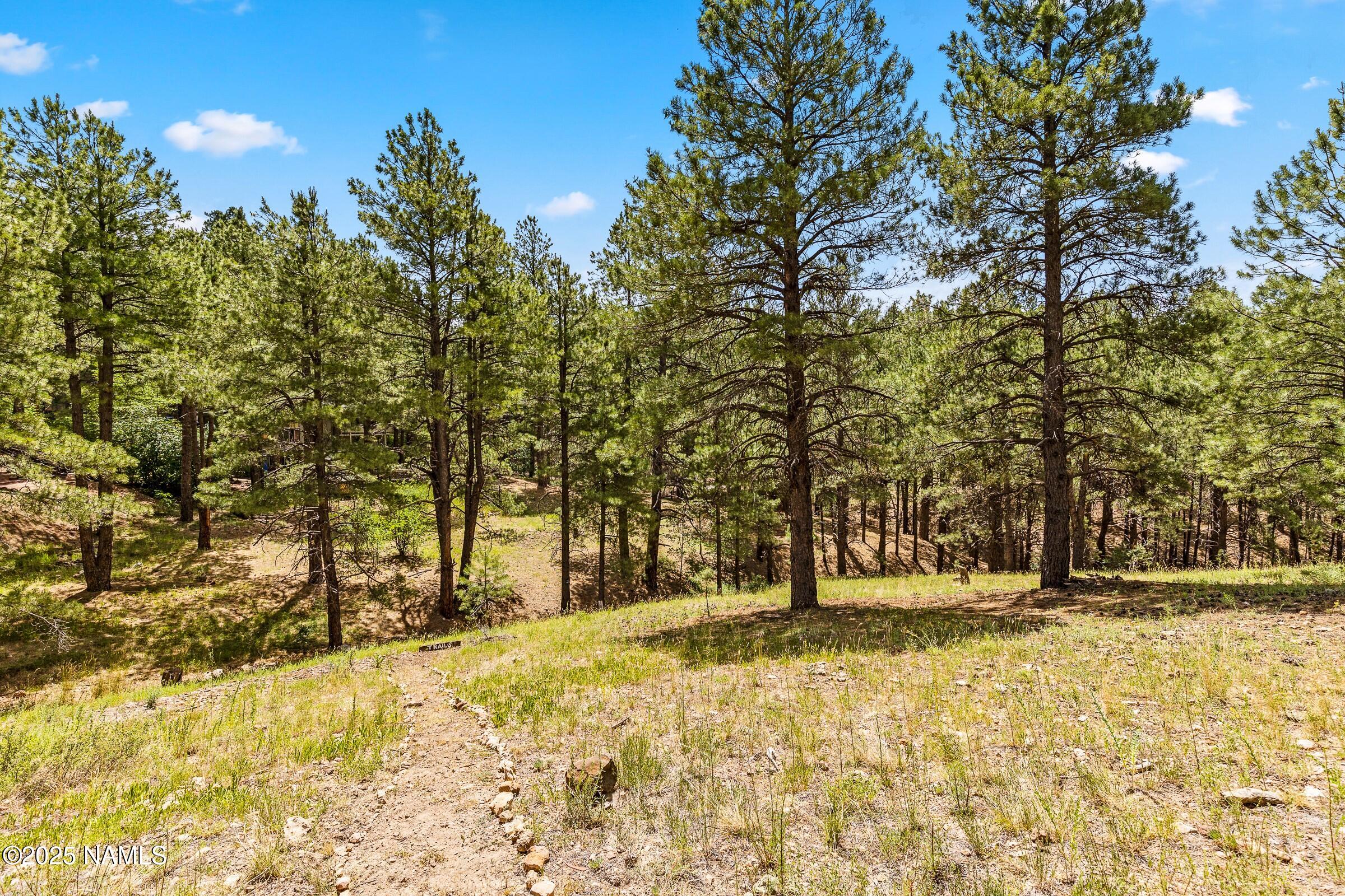 2764 Kletha Trail