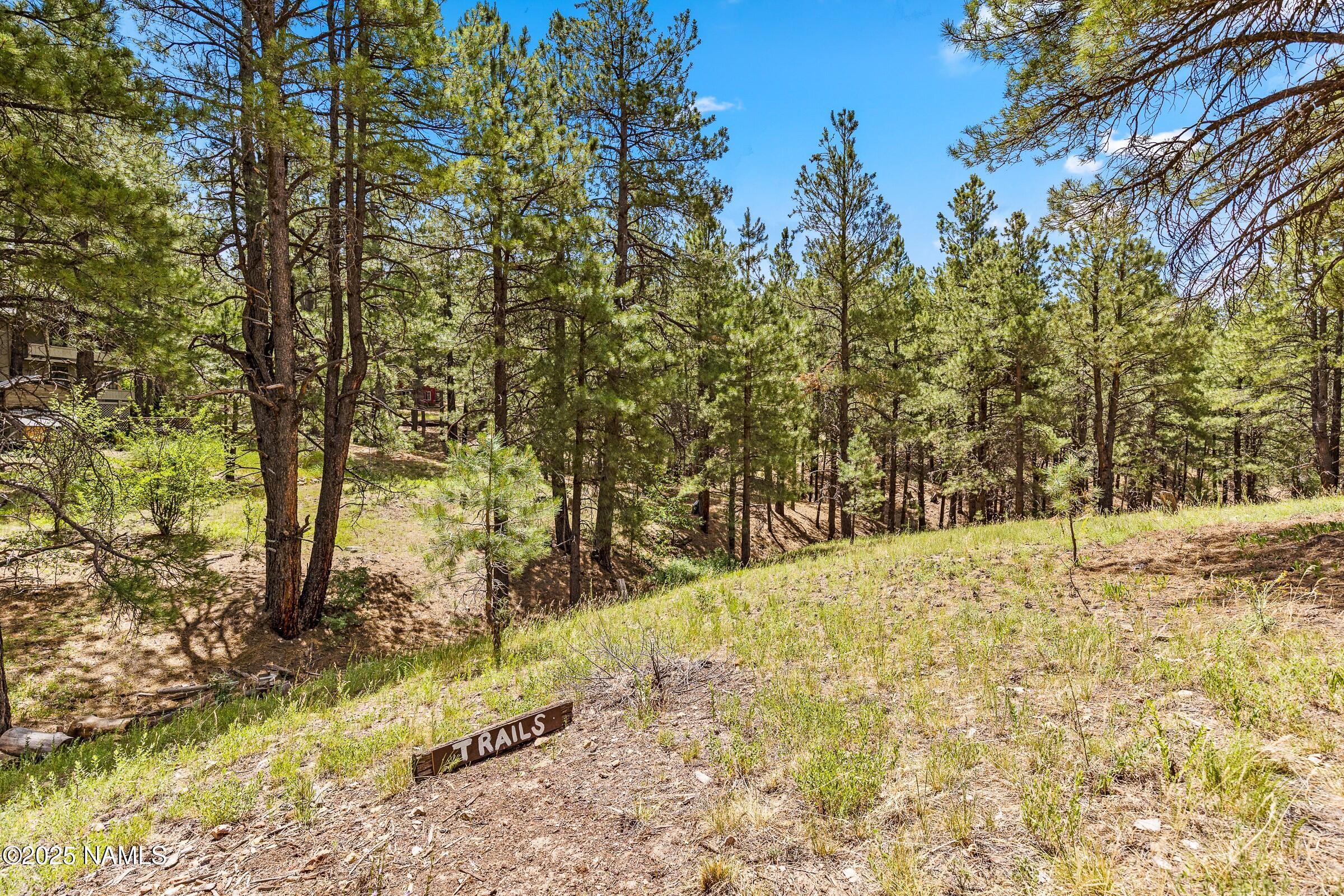 2764 Kletha Trail