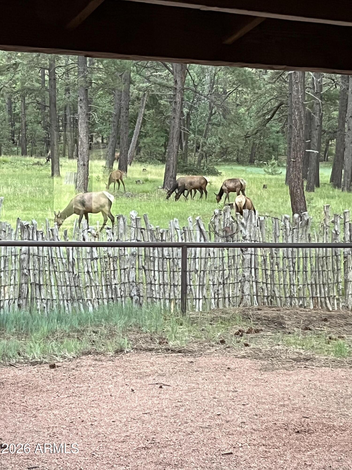 39291 Lake Mary Road