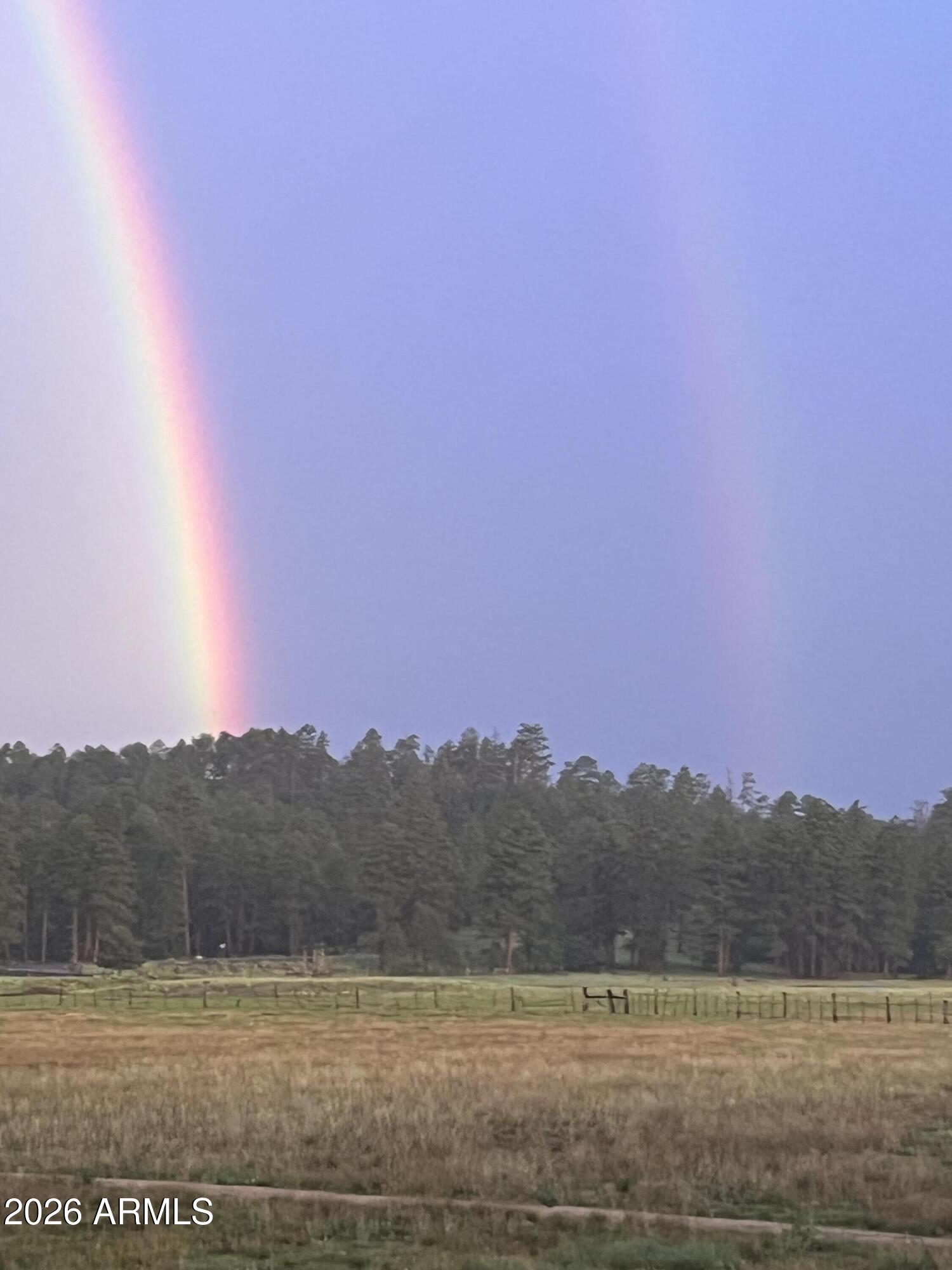 39291 Lake Mary Road