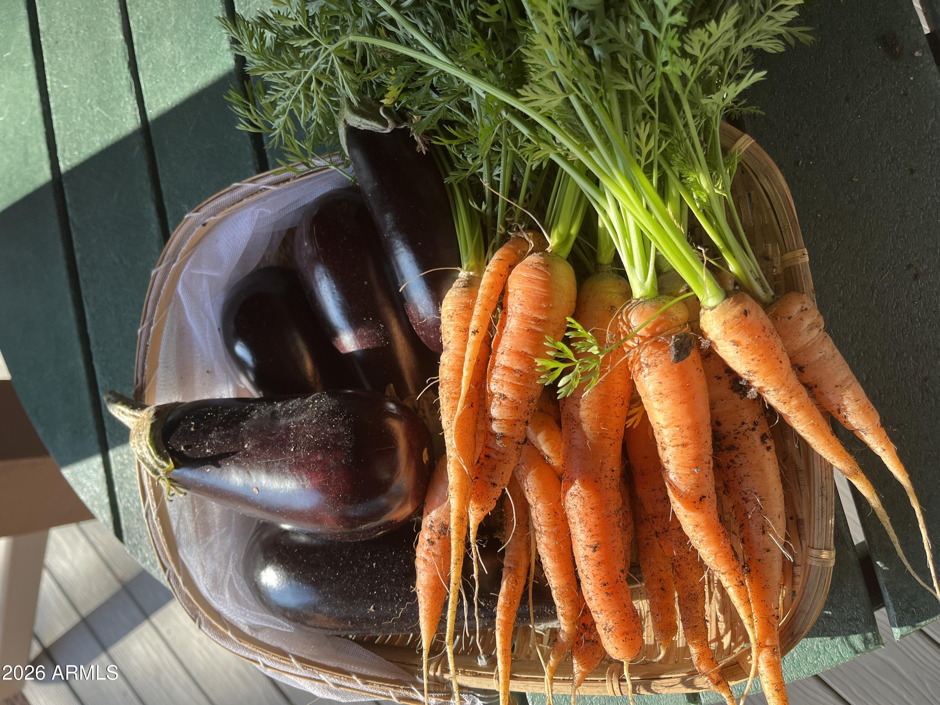 39291 Lake Mary Road