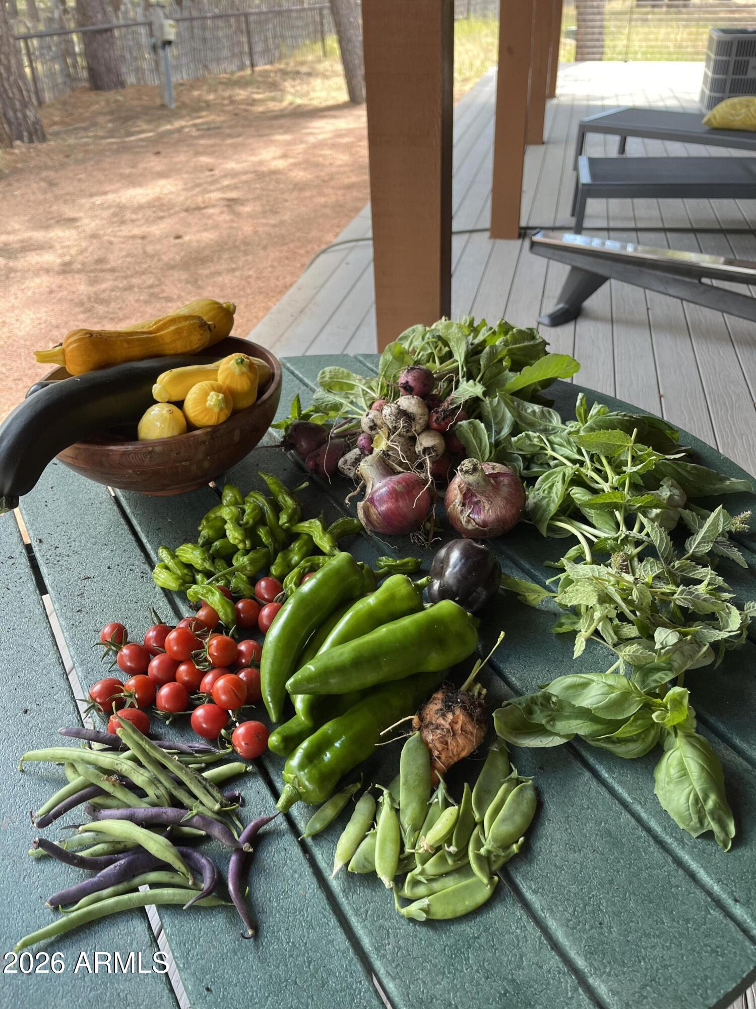 39291 Lake Mary Road