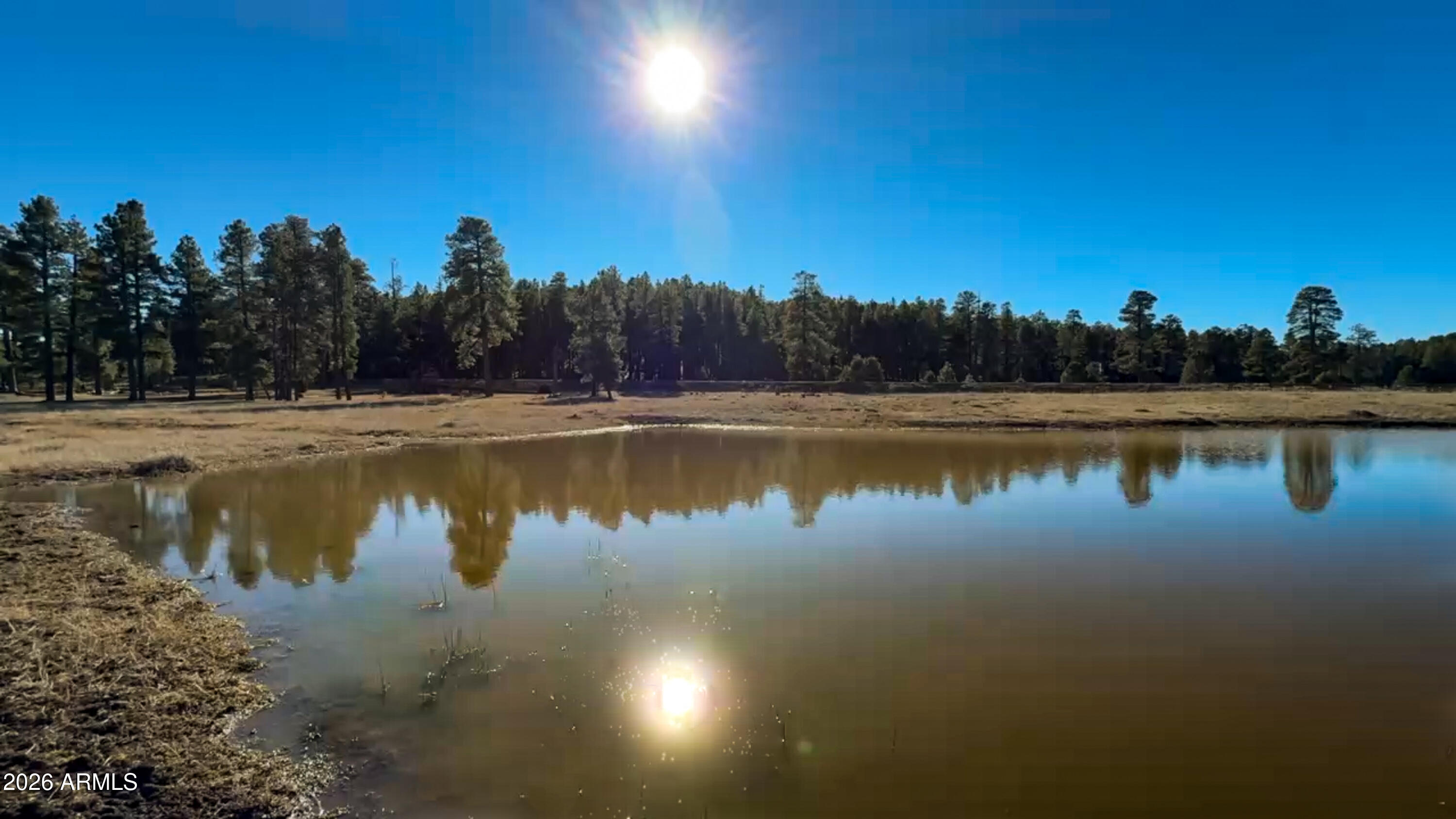 39291 Lake Mary Road