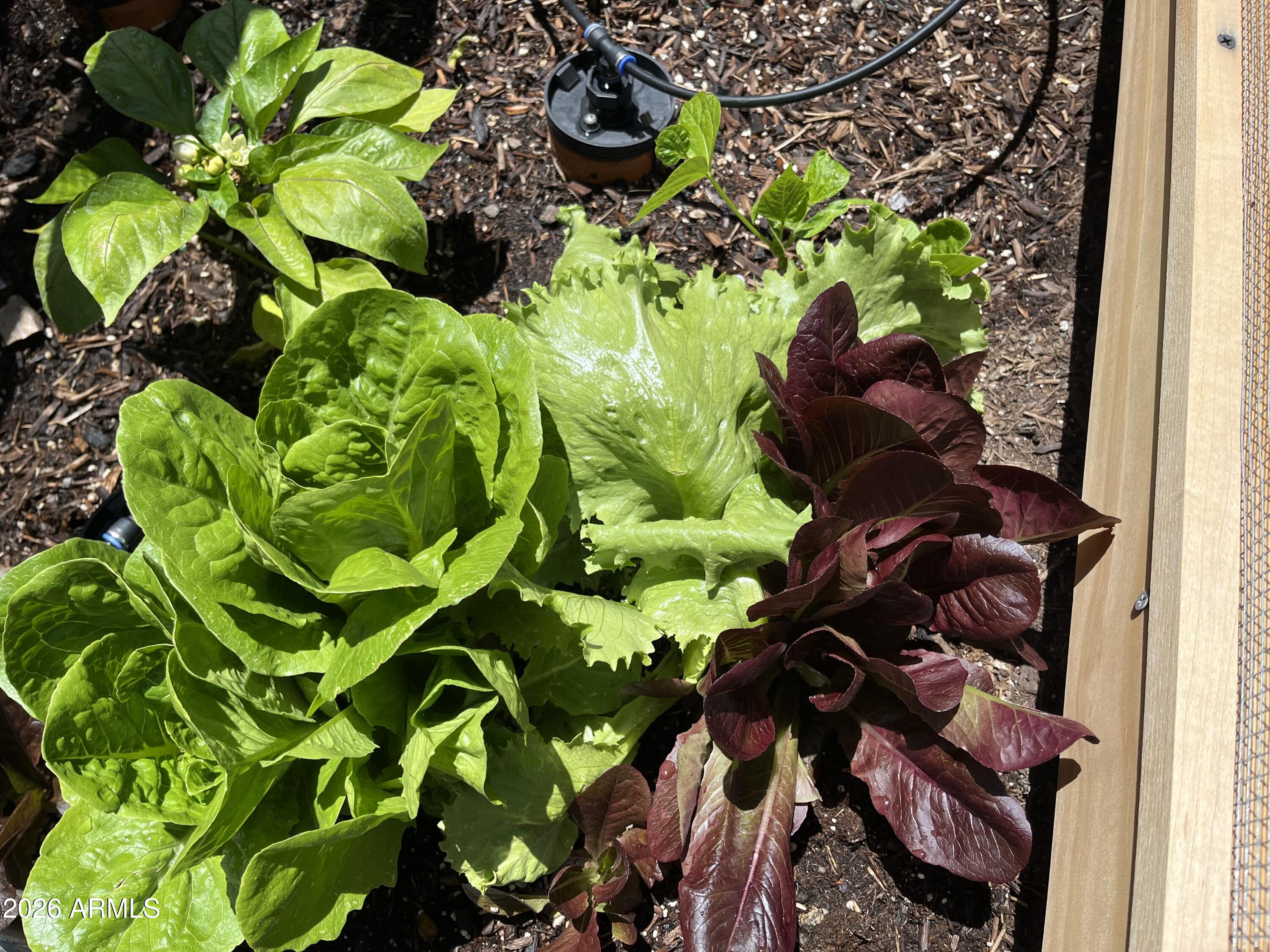 39291 Lake Mary Road